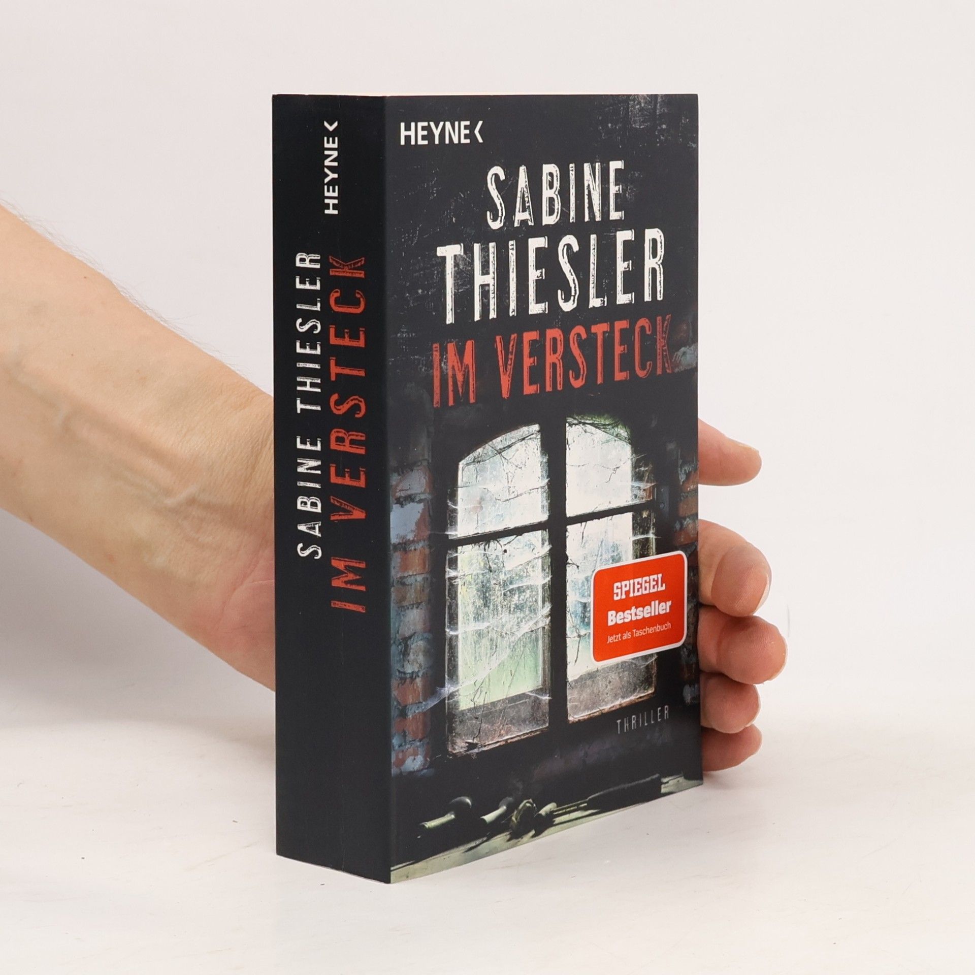 Sabine Thiesler Im Versteck