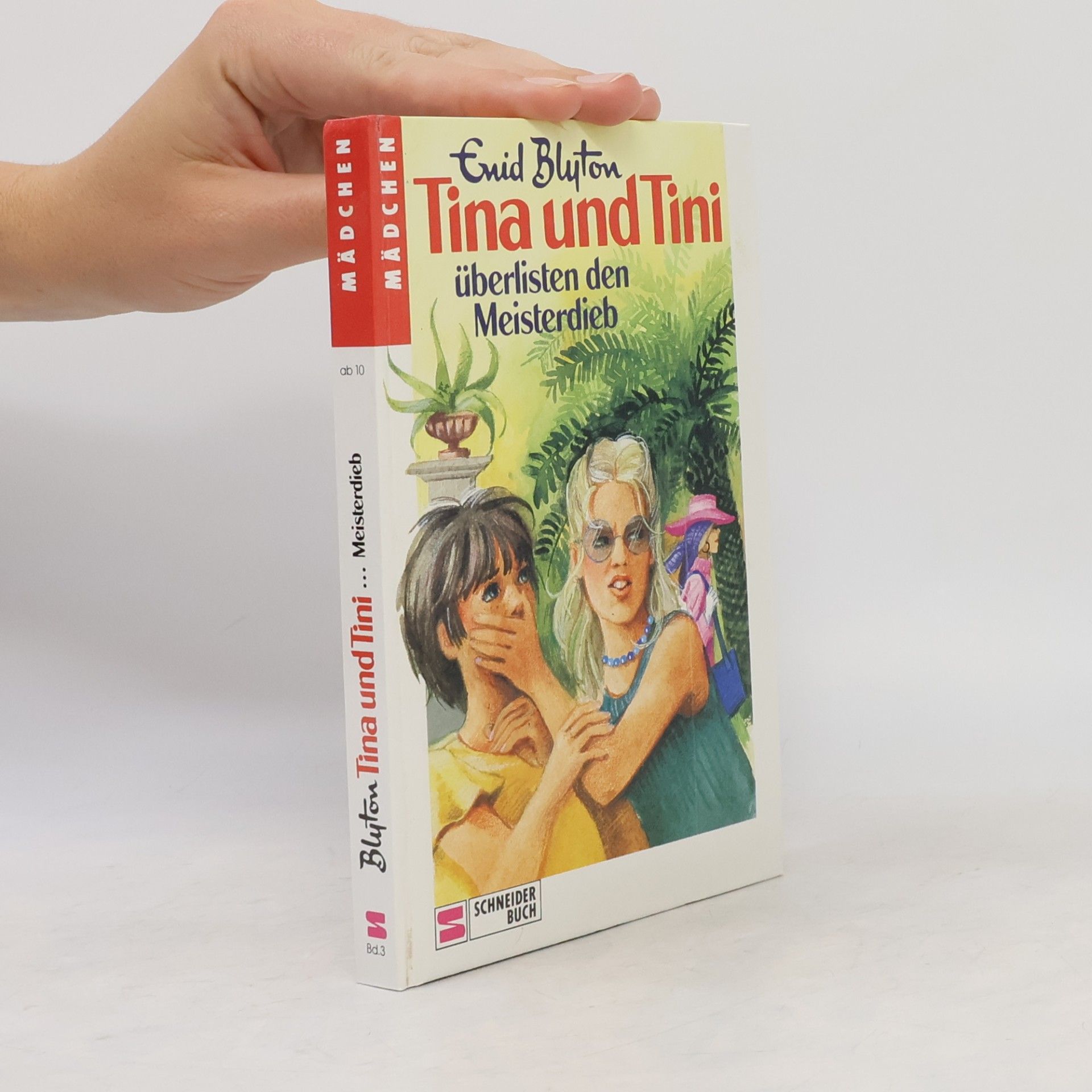 Enid Blyton Tina und Tini überlisten den Meisterdieb