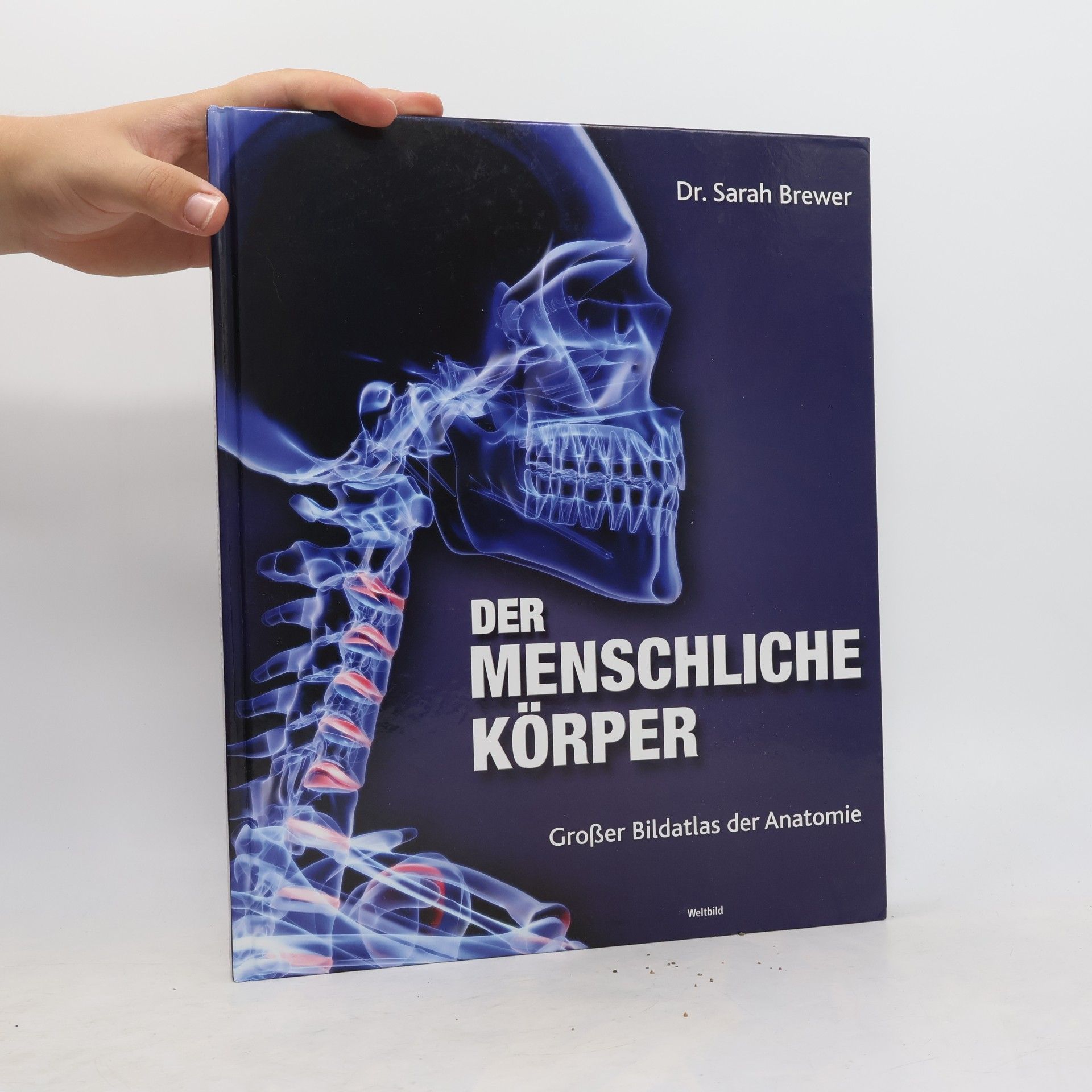 Sarah Brewer Der menschliche Körper