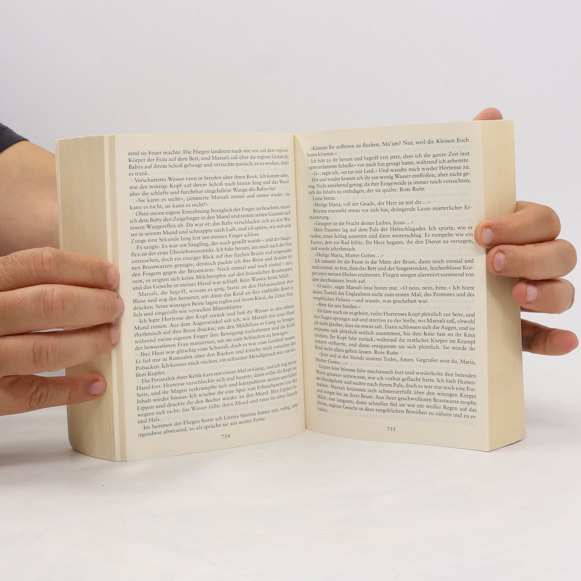 Diana Gabaldon Ein Hauch von Schnee und Asche