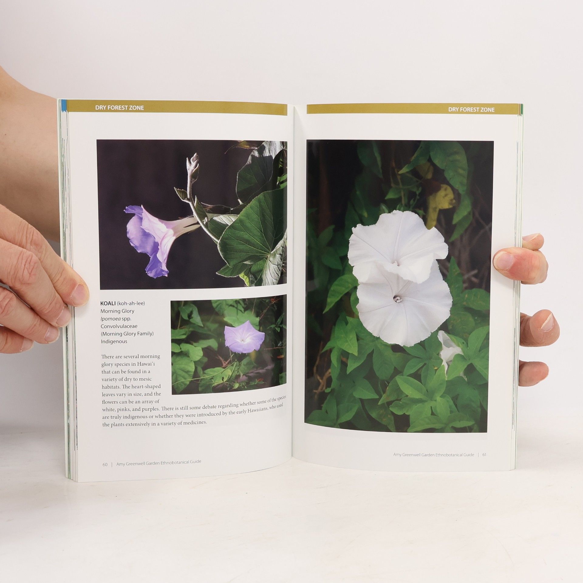 Peter Van Dyke Amy Greenwell Garden Ethnobotanical Guide to Native Hawaiian Plants & Polynesian-Introduced Plants
