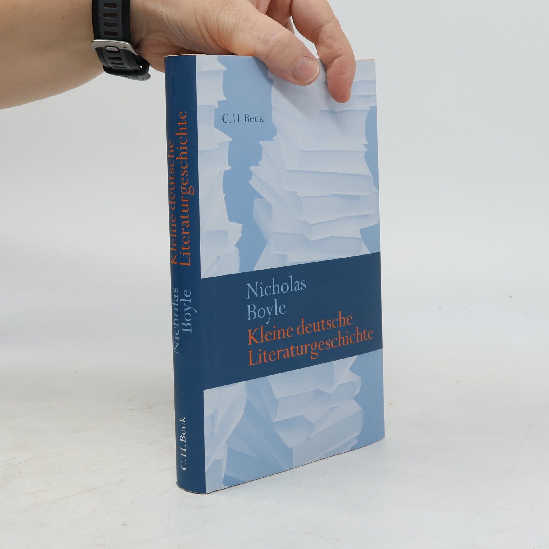 Nicholas Boyle Kleine deutsche Literaturgeschichte