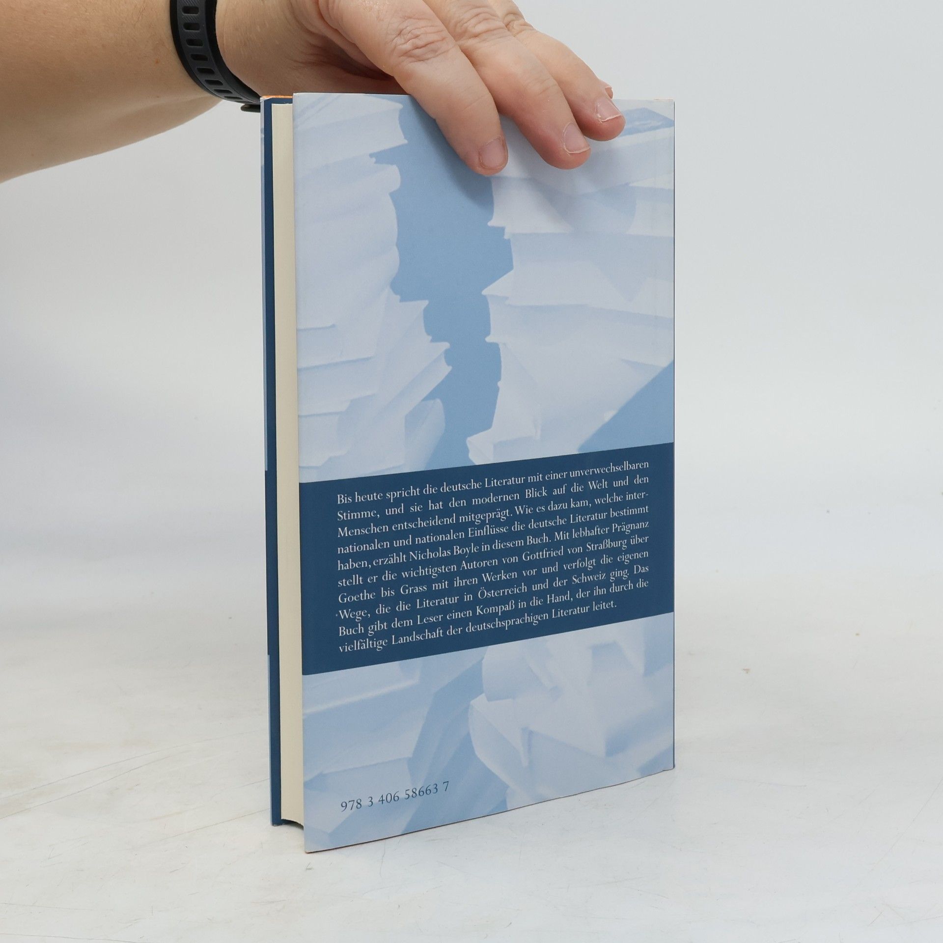 Nicholas Boyle Kleine deutsche Literaturgeschichte