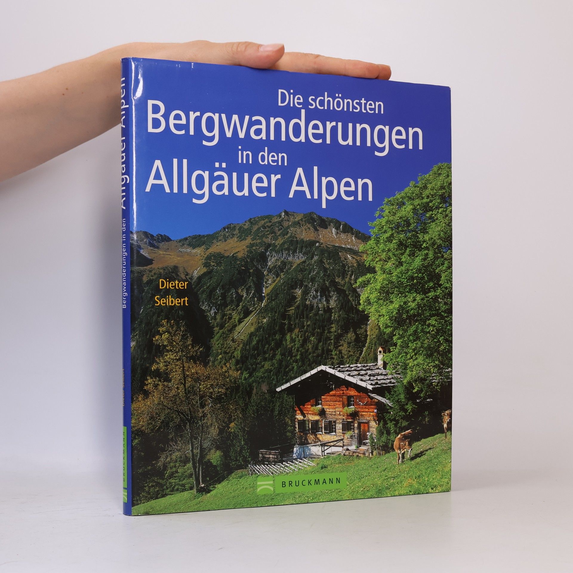 Die schönsten Bergwanderungen in den Allgäuer Alpen