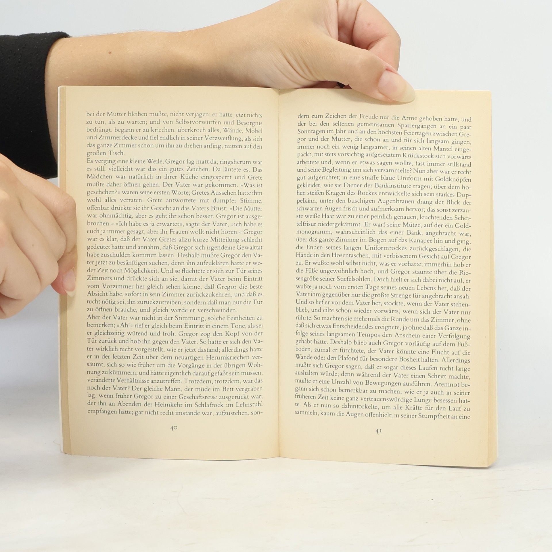 Franz Kafka Die Verwandlung