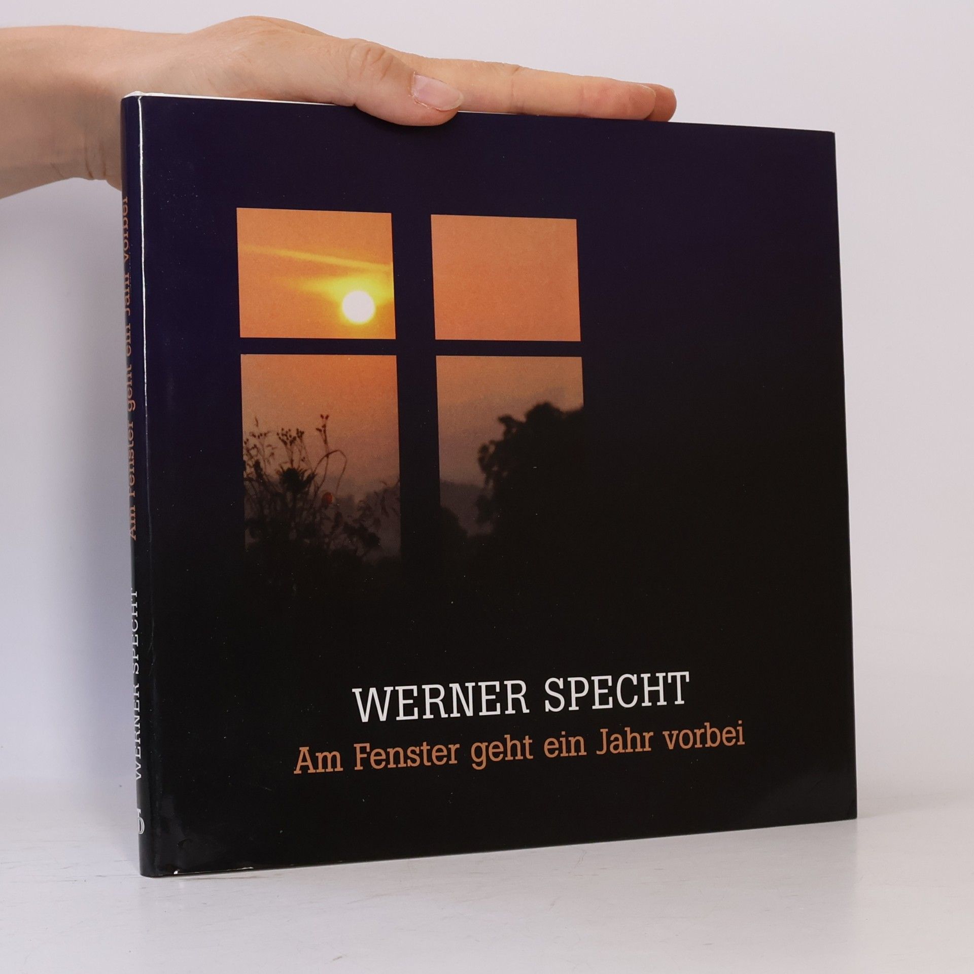Werner Specht Am Fenster geht ein Jahr vorbei