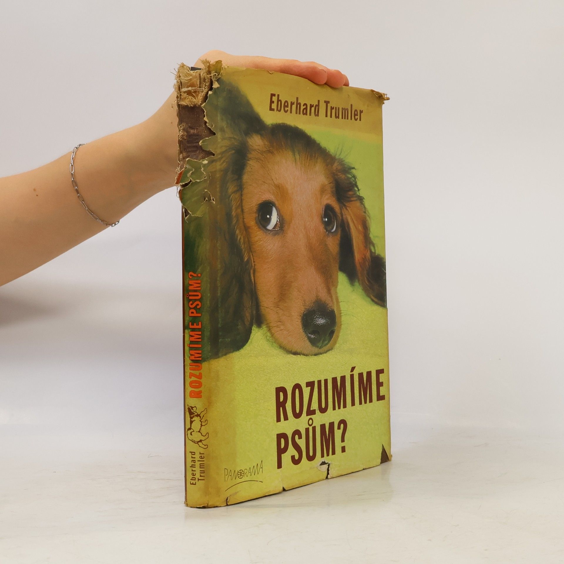 Rozumíme psům?