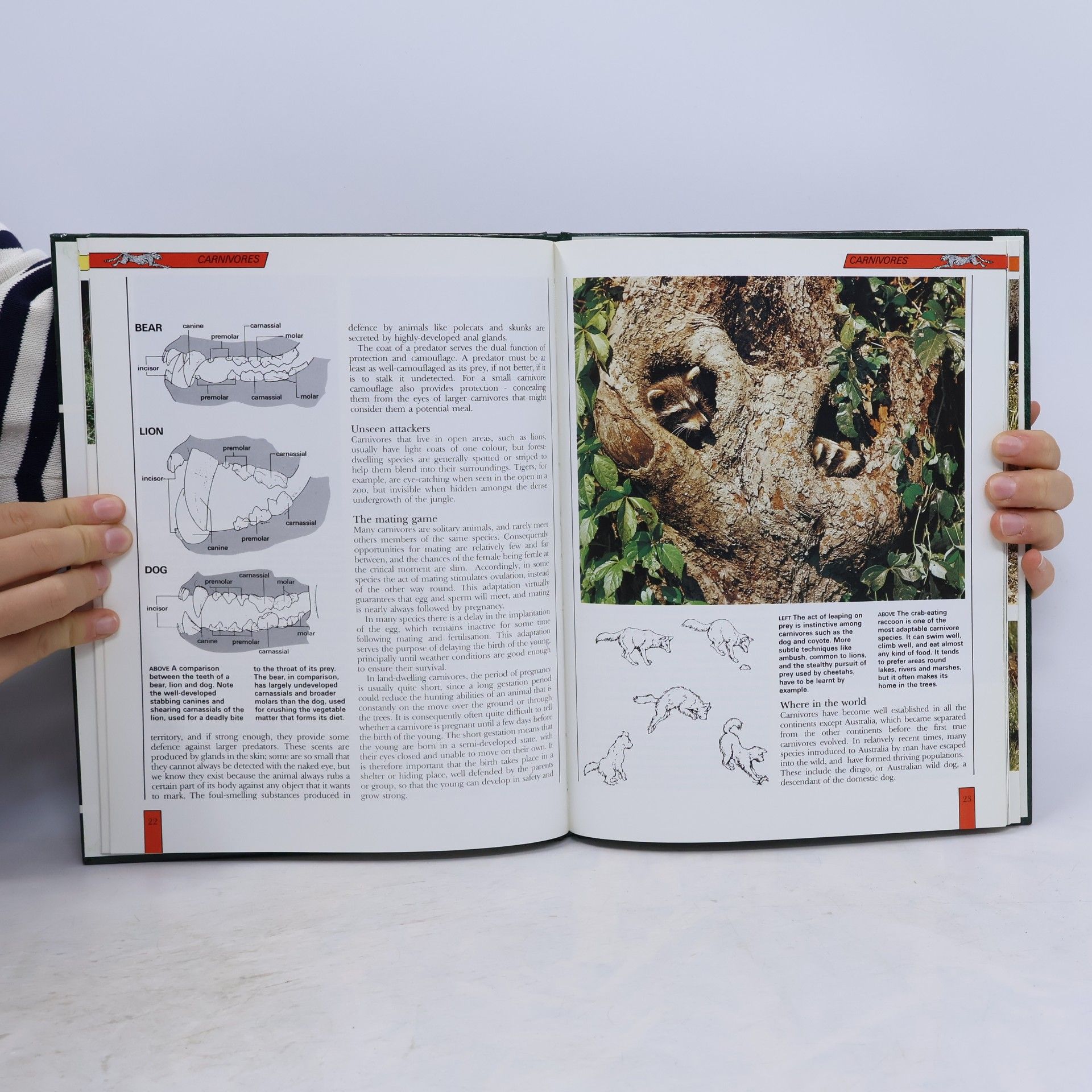 Autorenkollektiv The Illustrated Encyclopedia of Wildlife. Volume 1