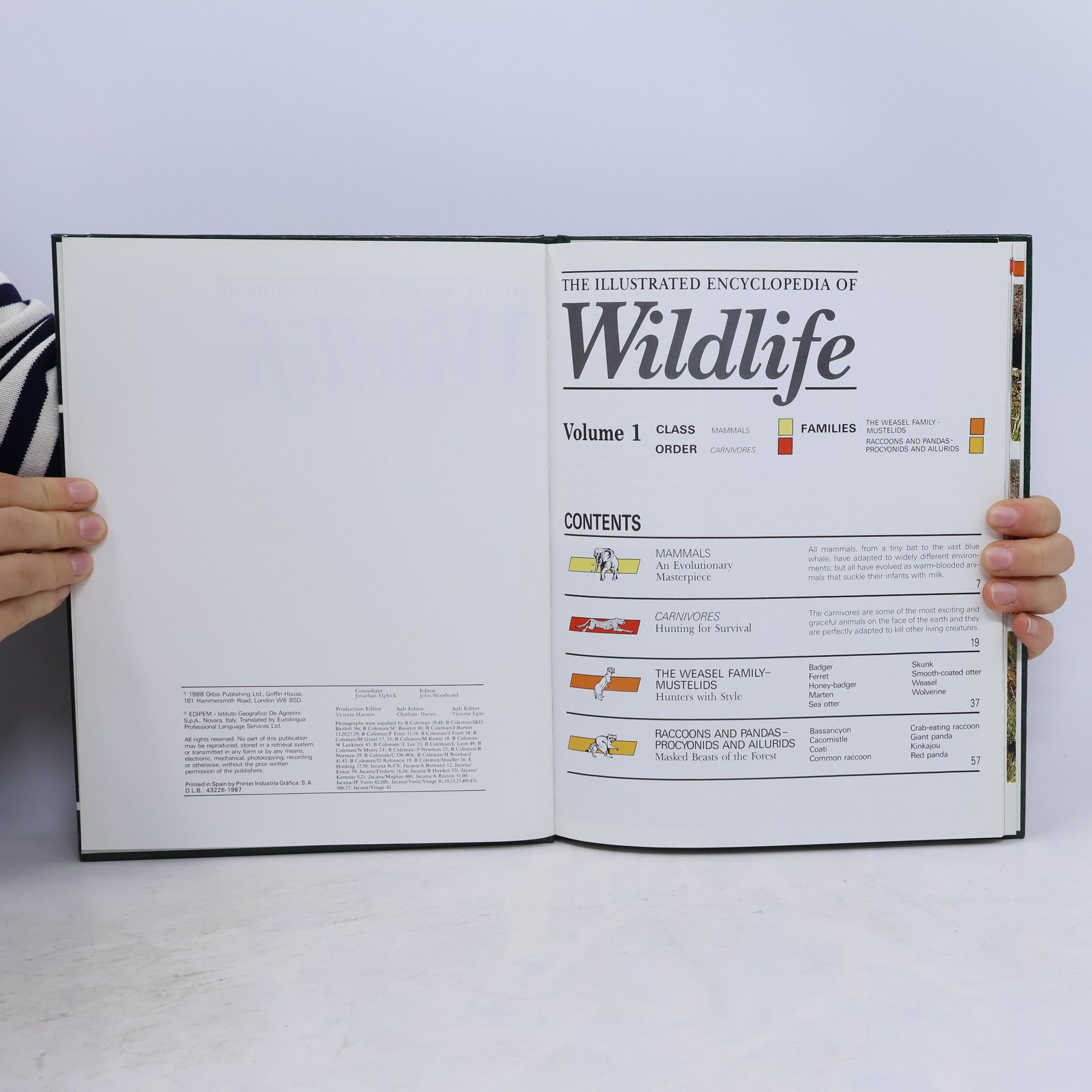 Autorenkollektiv The Illustrated Encyclopedia of Wildlife. Volume 1