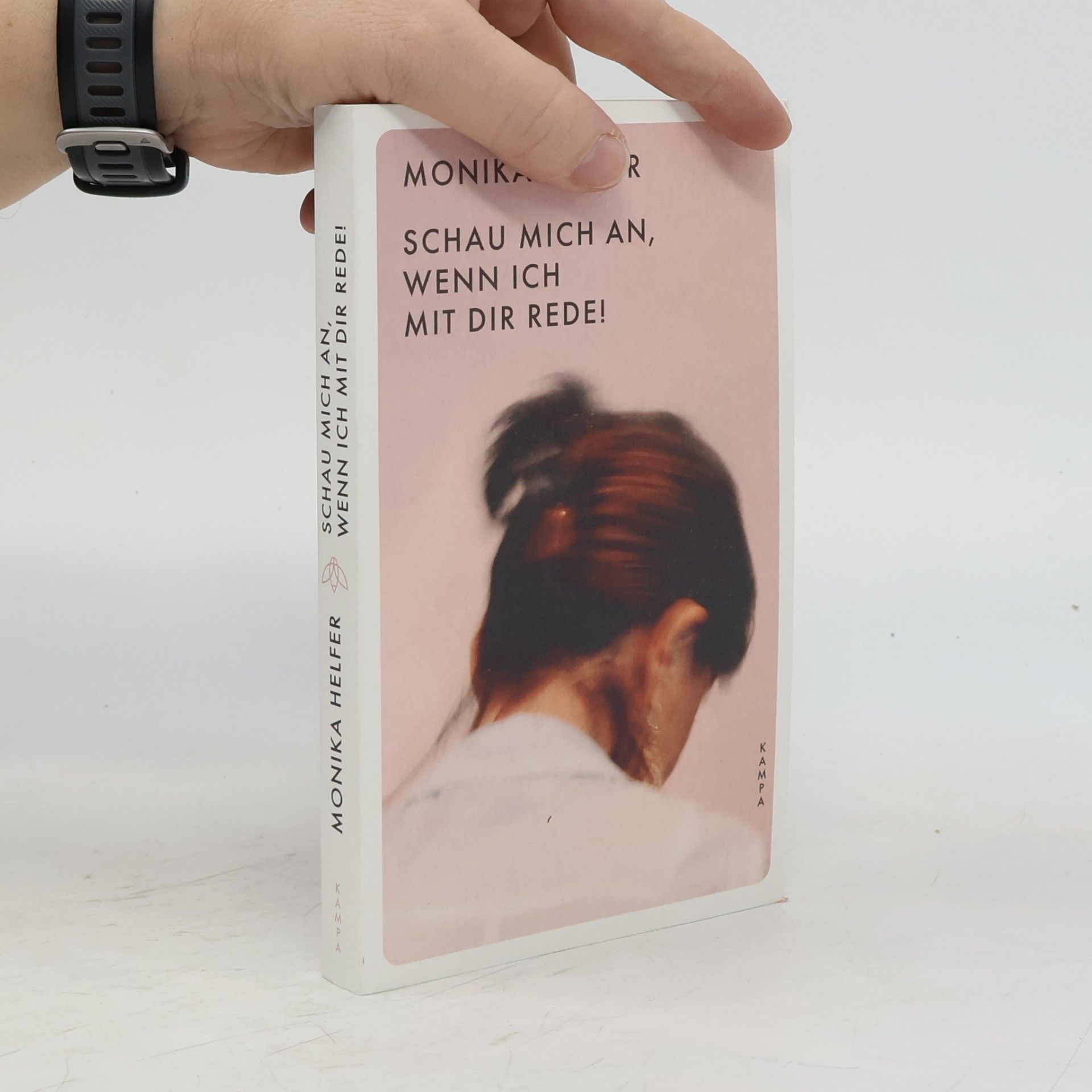 Monika Helfer Schau mich an, wenn ich mit dir rede!