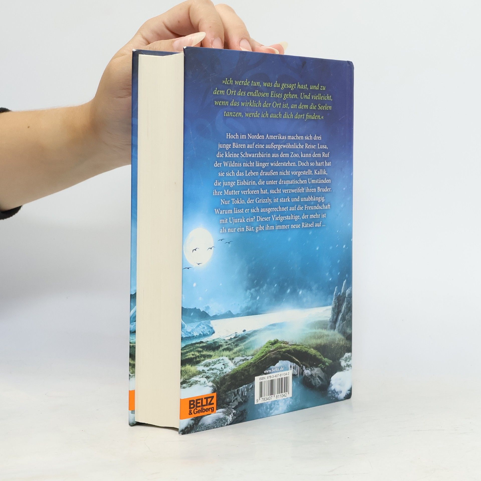 Erin Hunter Seekers. Die Suche beginnt