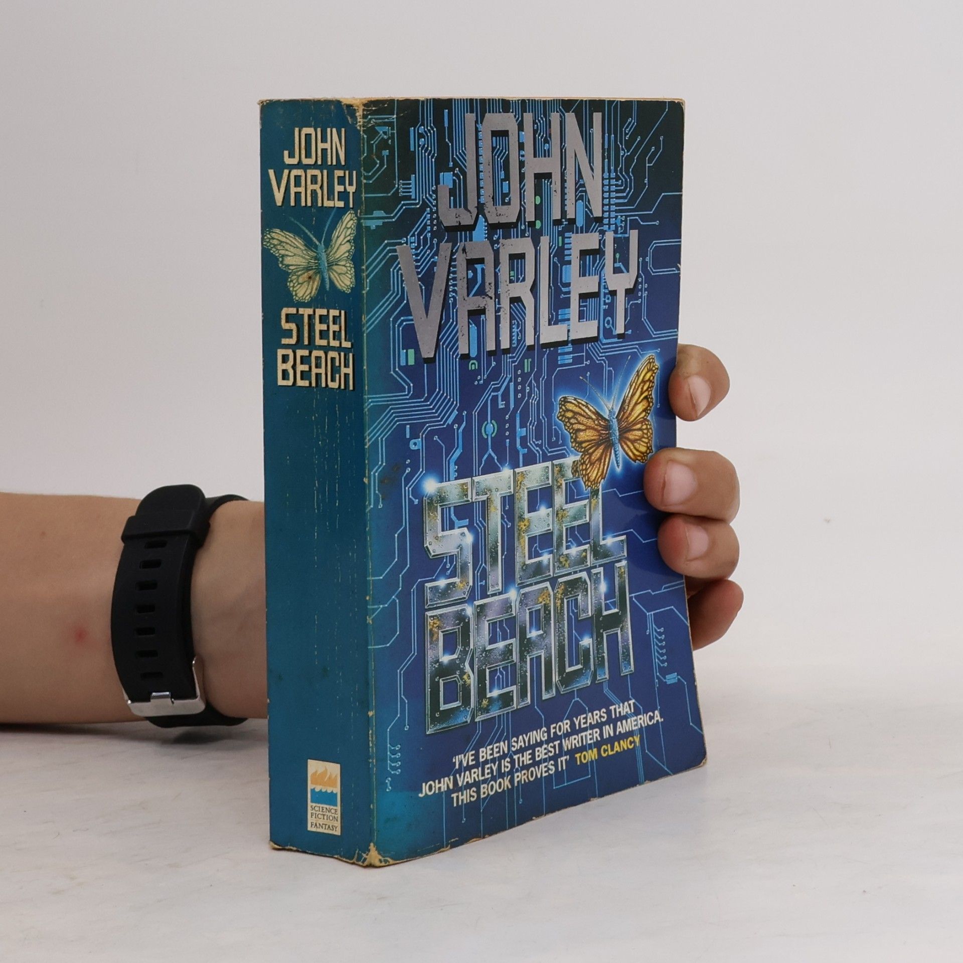 John Varley Steel Beach