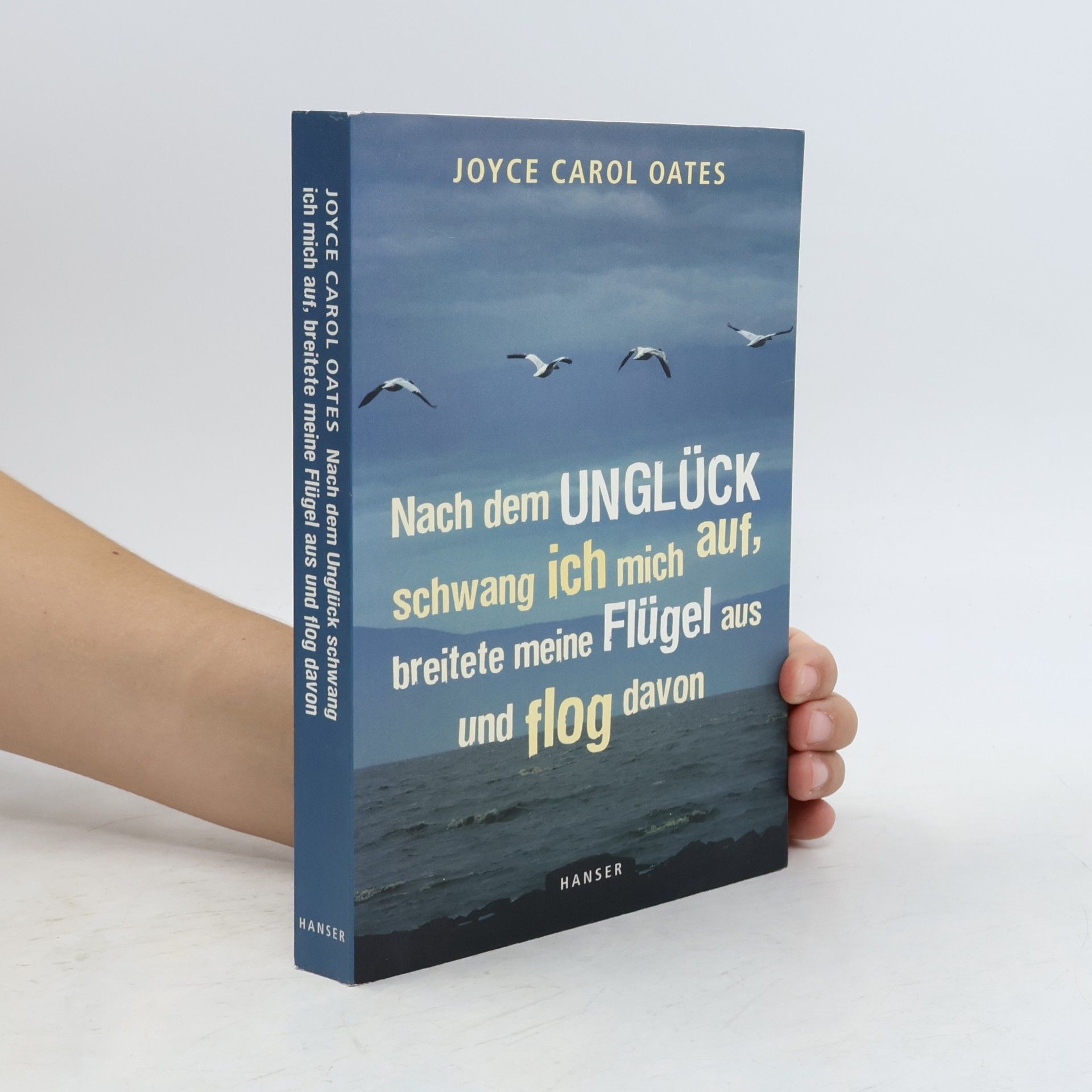 Joyce Carol Oates Nach dem Unglück schwang ich mich auf, breitete meine Flügel aus und flog davon
