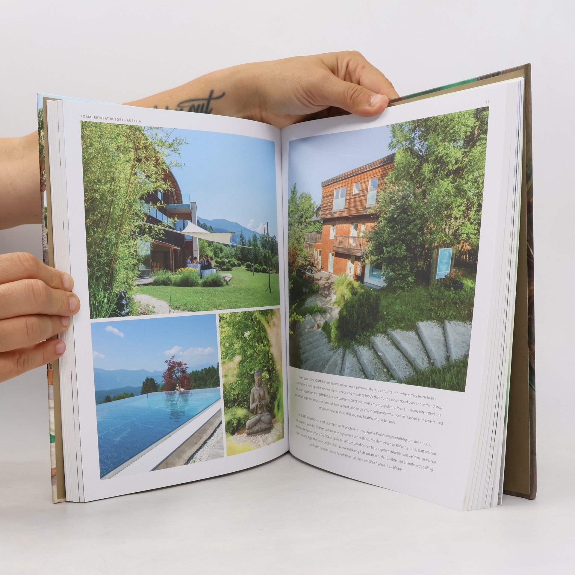 Karen Klein Veggie Hotels, Small Revised Edition