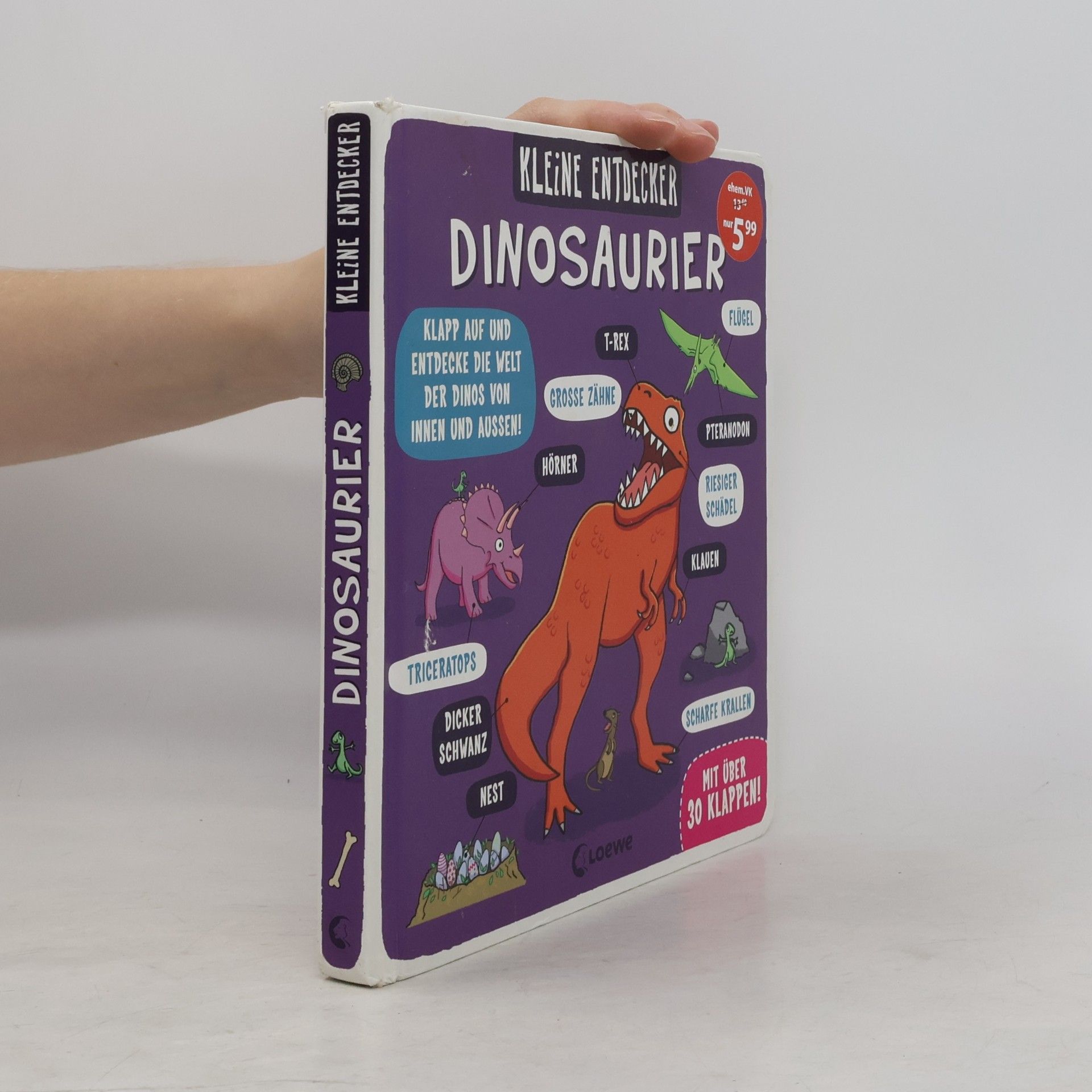 Various authors Kleine Entdecker: Dinosaurier