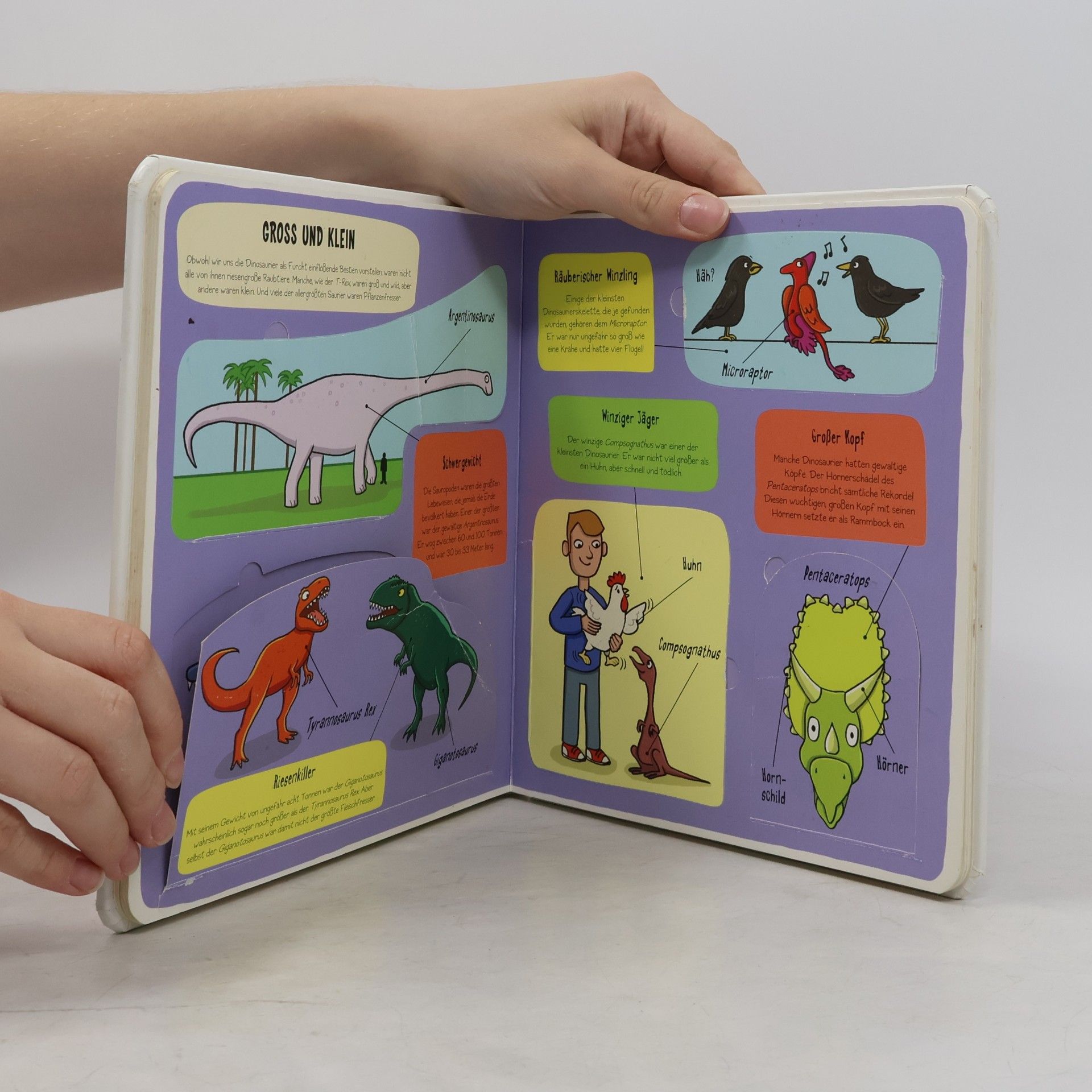 Kleine Entdecker: Dinosaurier