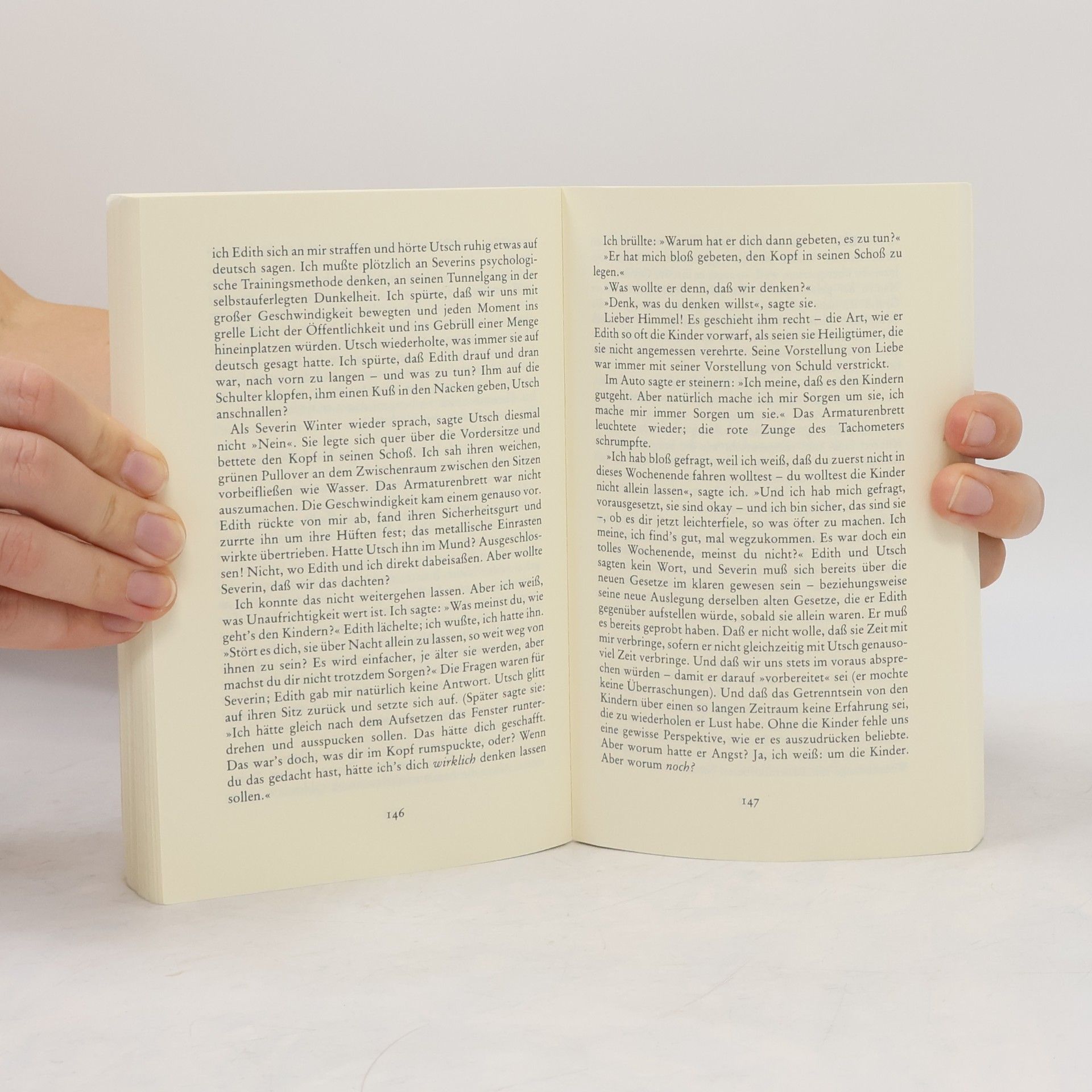 John Irving Eine Mittelgewichtsehe