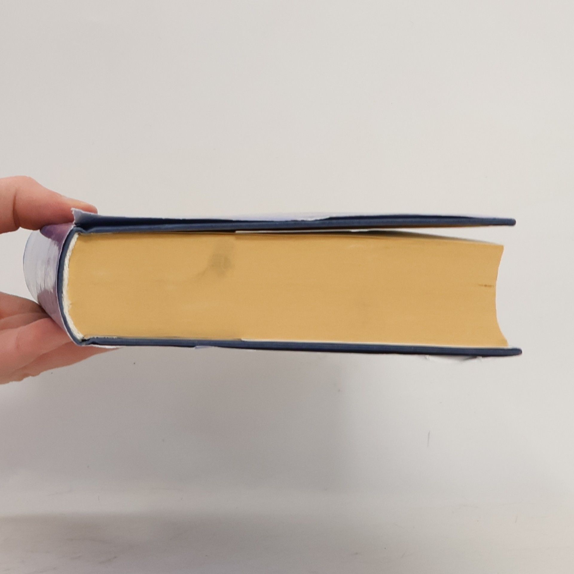 Cecelia Ahern Ich hab dich in Gefühl