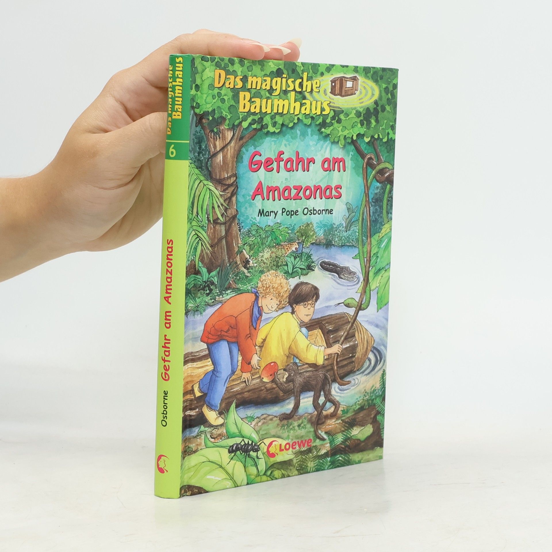 Gefahr am Amazonas