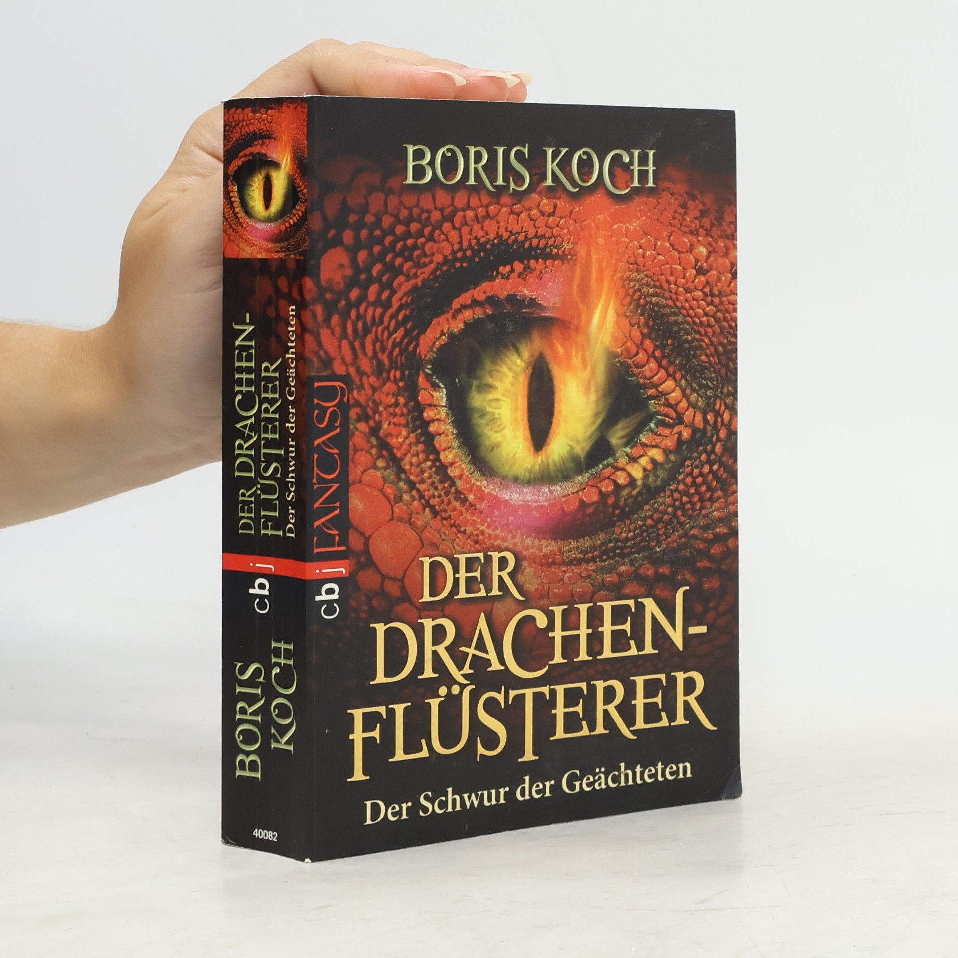 Boris Koch Der Drachenflüsterer: Der Schwur der Geächteten