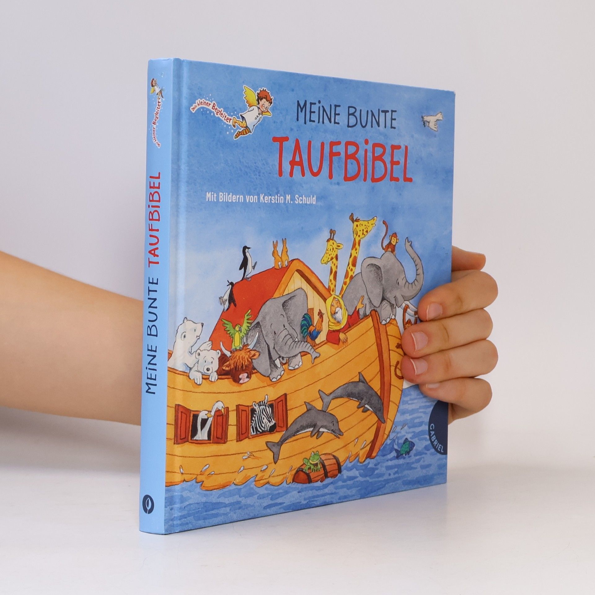 Dörte Beutler Dein kleiner Begleiter: Meine bunte Taufbibel