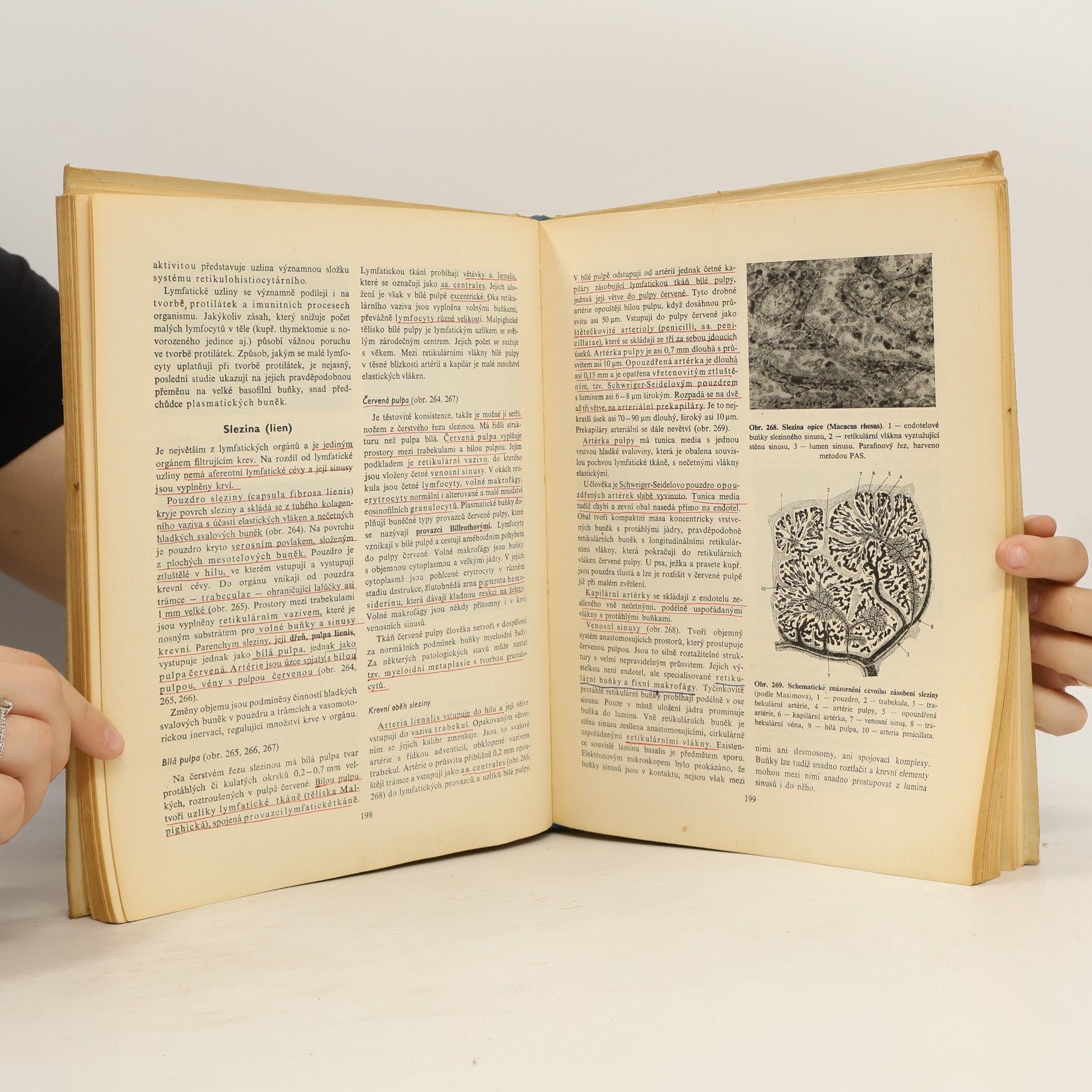 Zdeněk Vacek Histologie