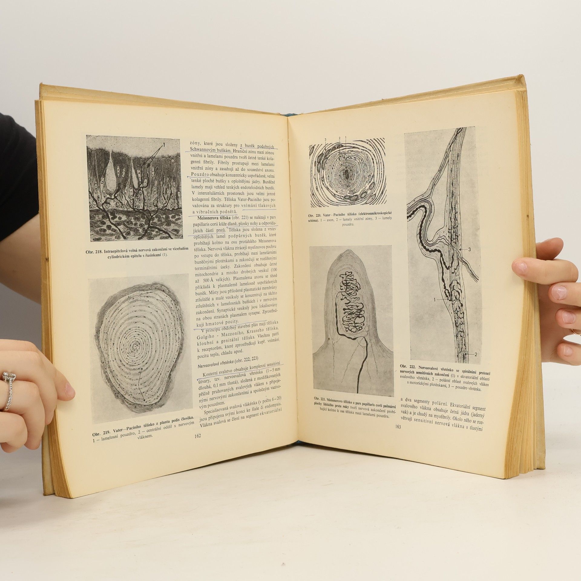 Zdeněk Vacek Histologie