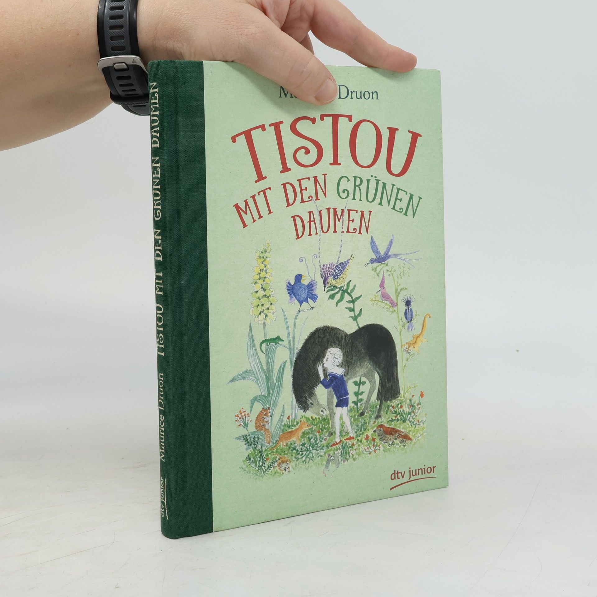 Maurice Druon Tistou mit den grünen Daumen