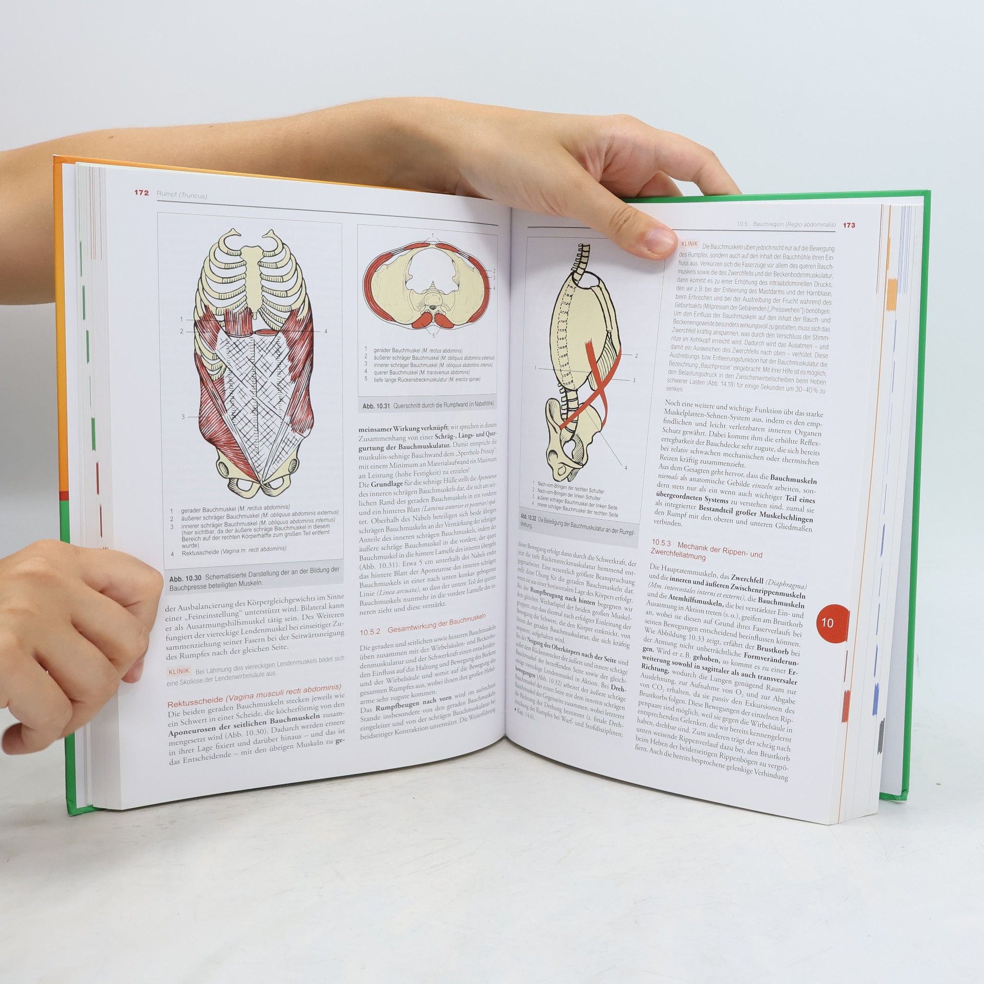 Kurt Tittel Beschreibende und funktionelle Anatomie