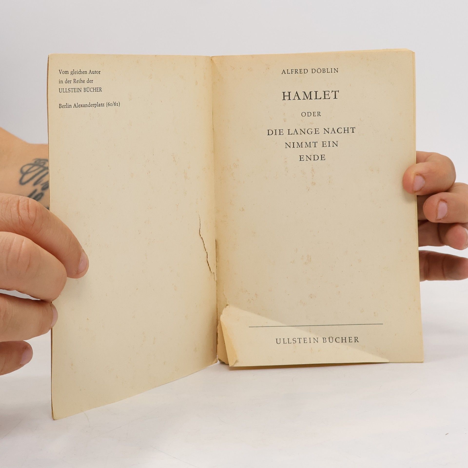 Alfred Döblin Hamlet oder die lange Nacht nimmt ein Ende