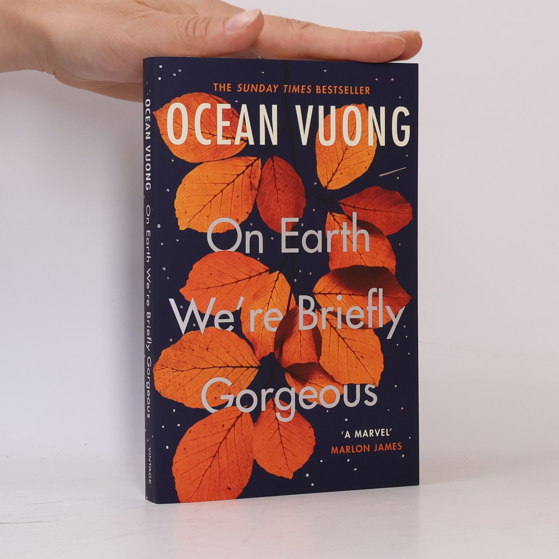 Ocean Vuong On Earth We're Briefly Gorgeous