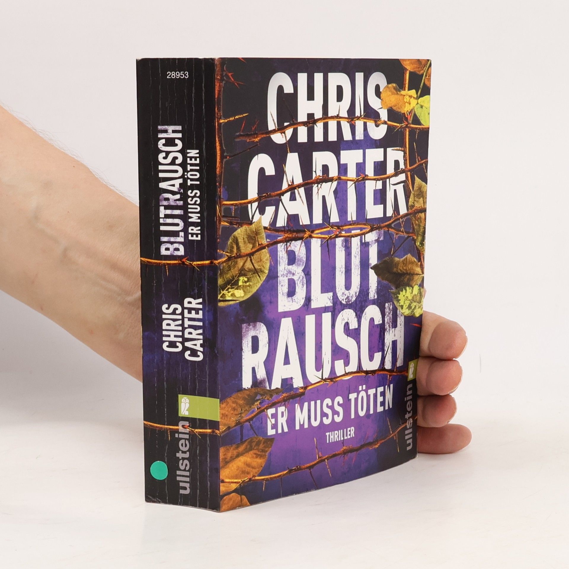 Chris Carter Blutrausch - Er muss töten