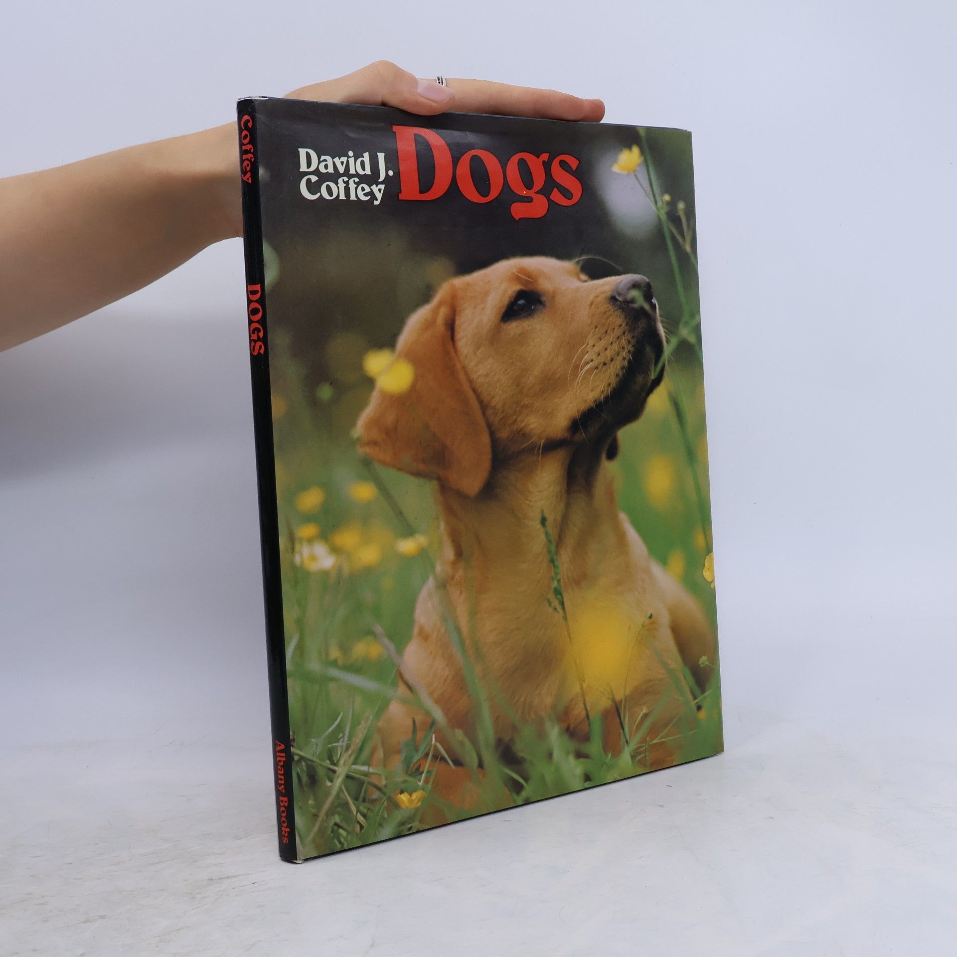 David J. Coffey Dogs