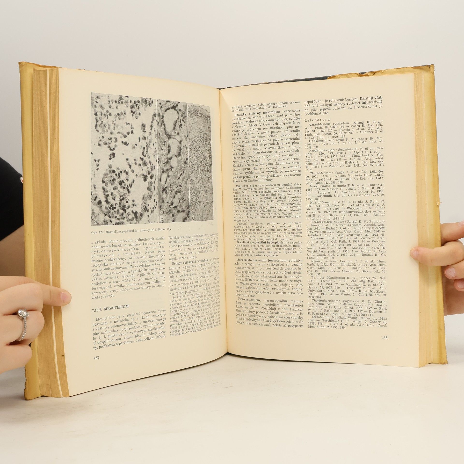 Blahoslav Bednář Patologie a spolupracovníci I