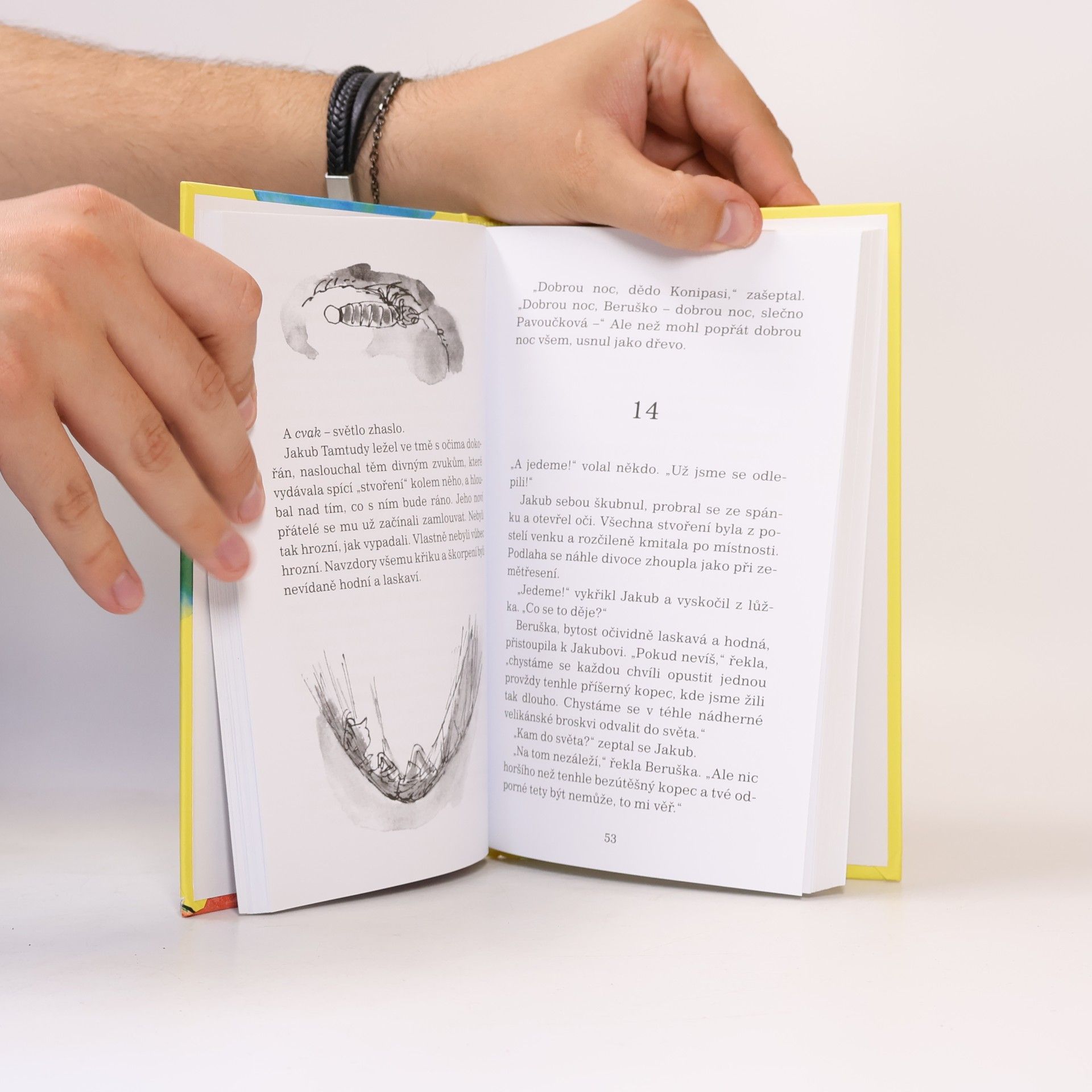 Roald Dahl Jakub a obří broskev