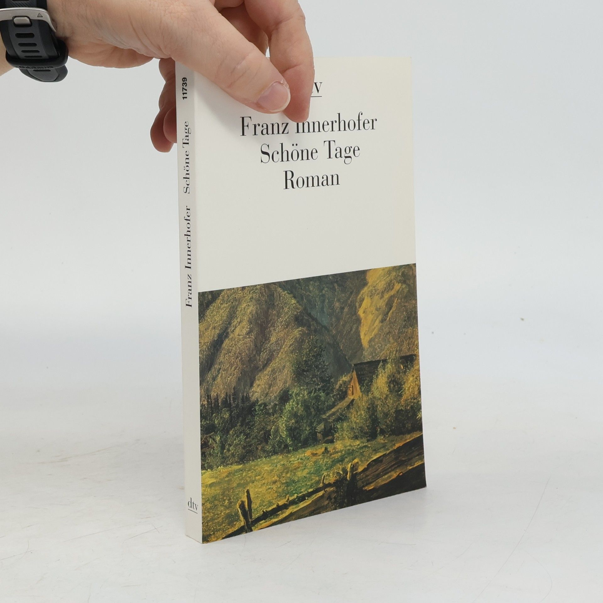 Franz Innerhofer Schöne Tage