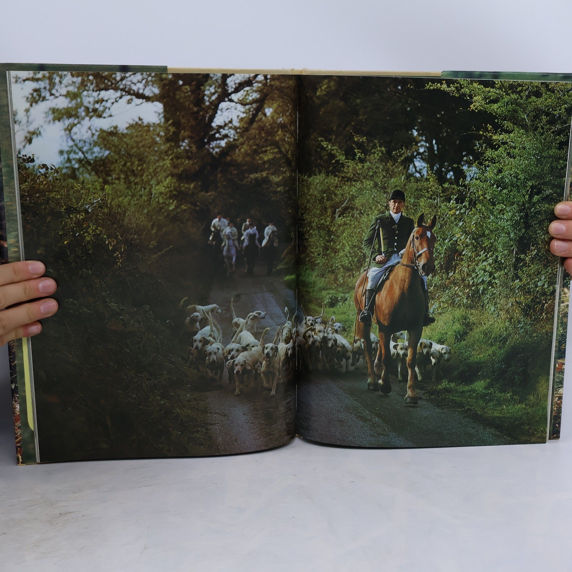 Howard Loxton Colour Encyclopedia of Dogs