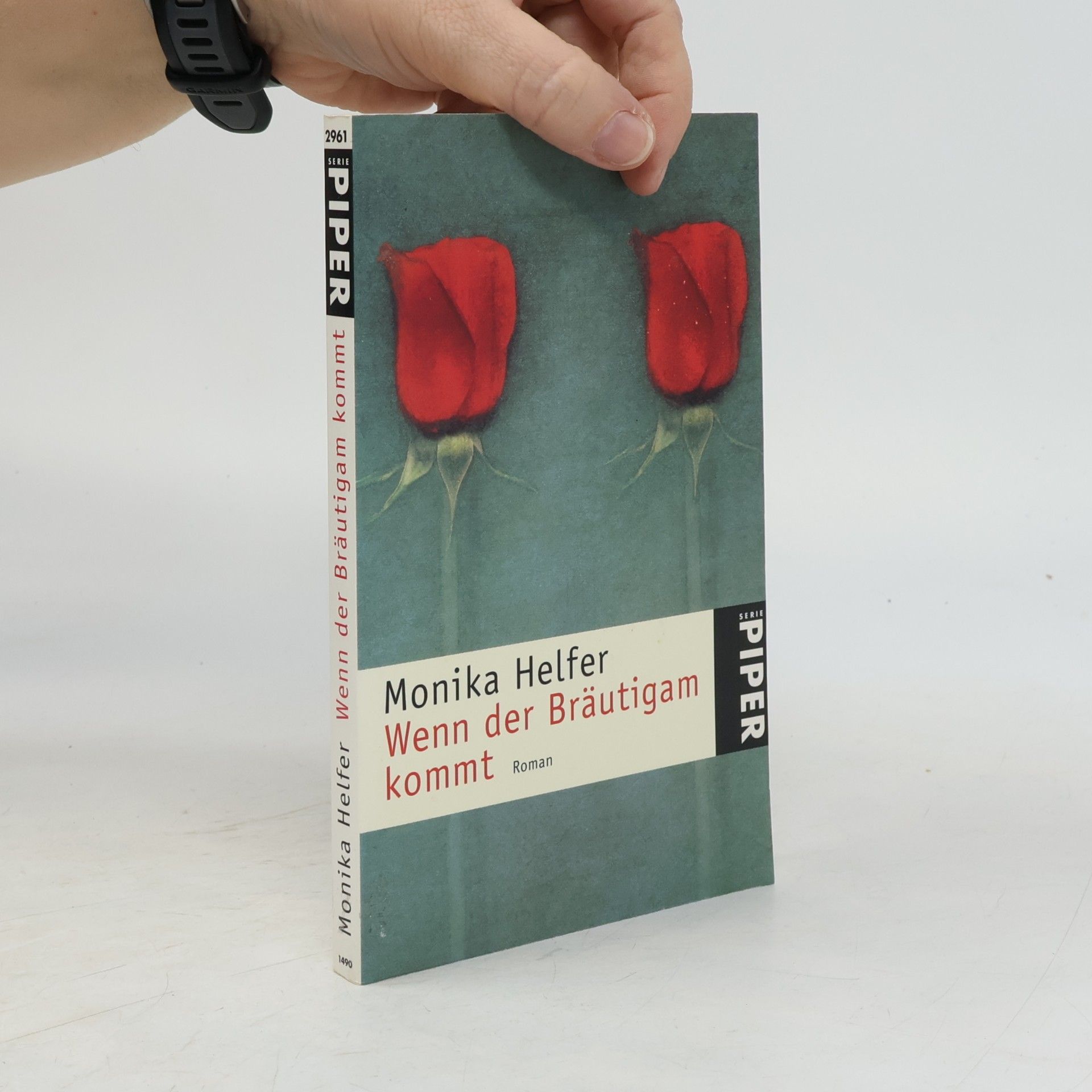 Monika Helfer Wenn der Bräutigam kommt. Roman