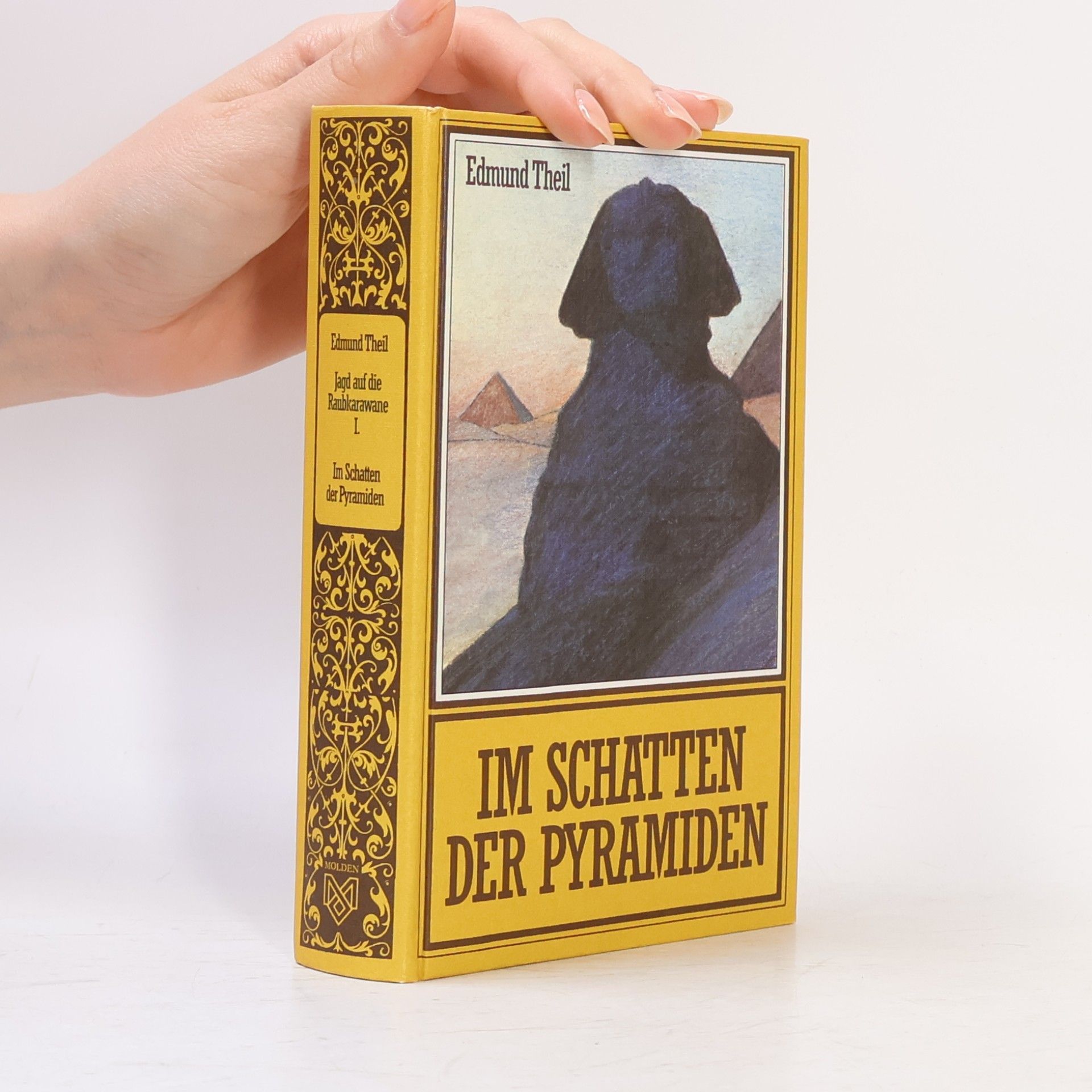 Edmund Theil Im Schatten der Pyramiden
