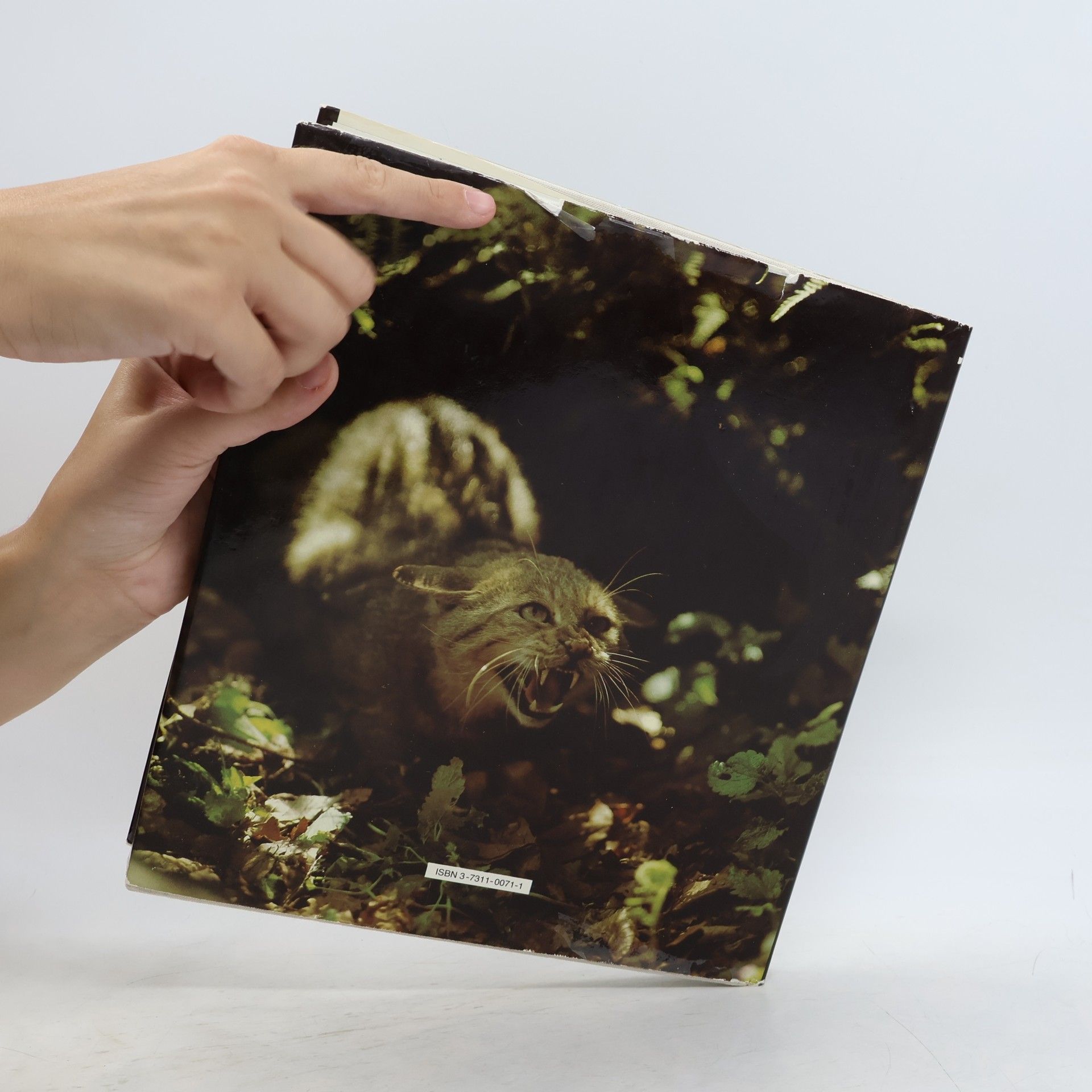 Harald Lange Tierfotografie