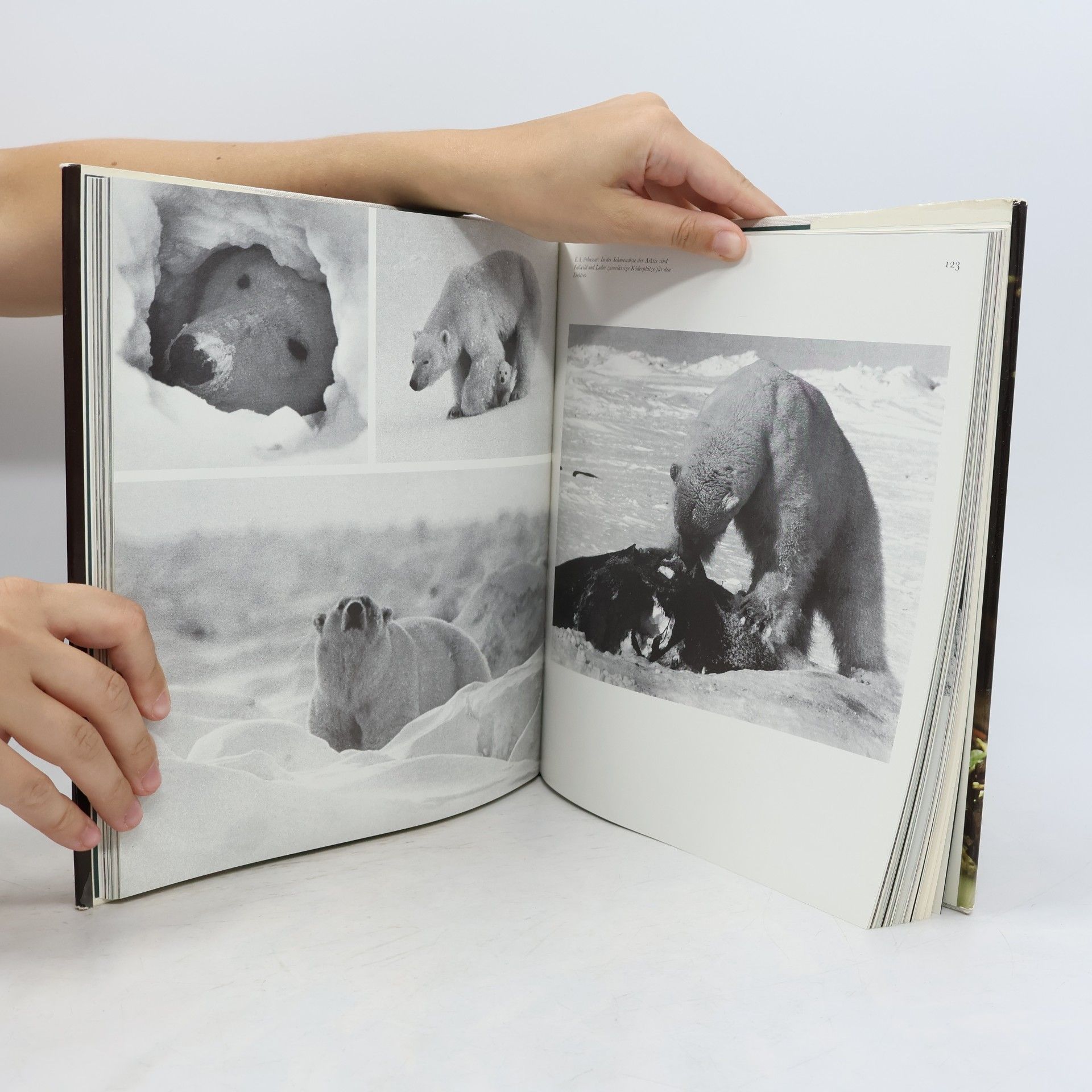 Harald Lange Tierfotografie