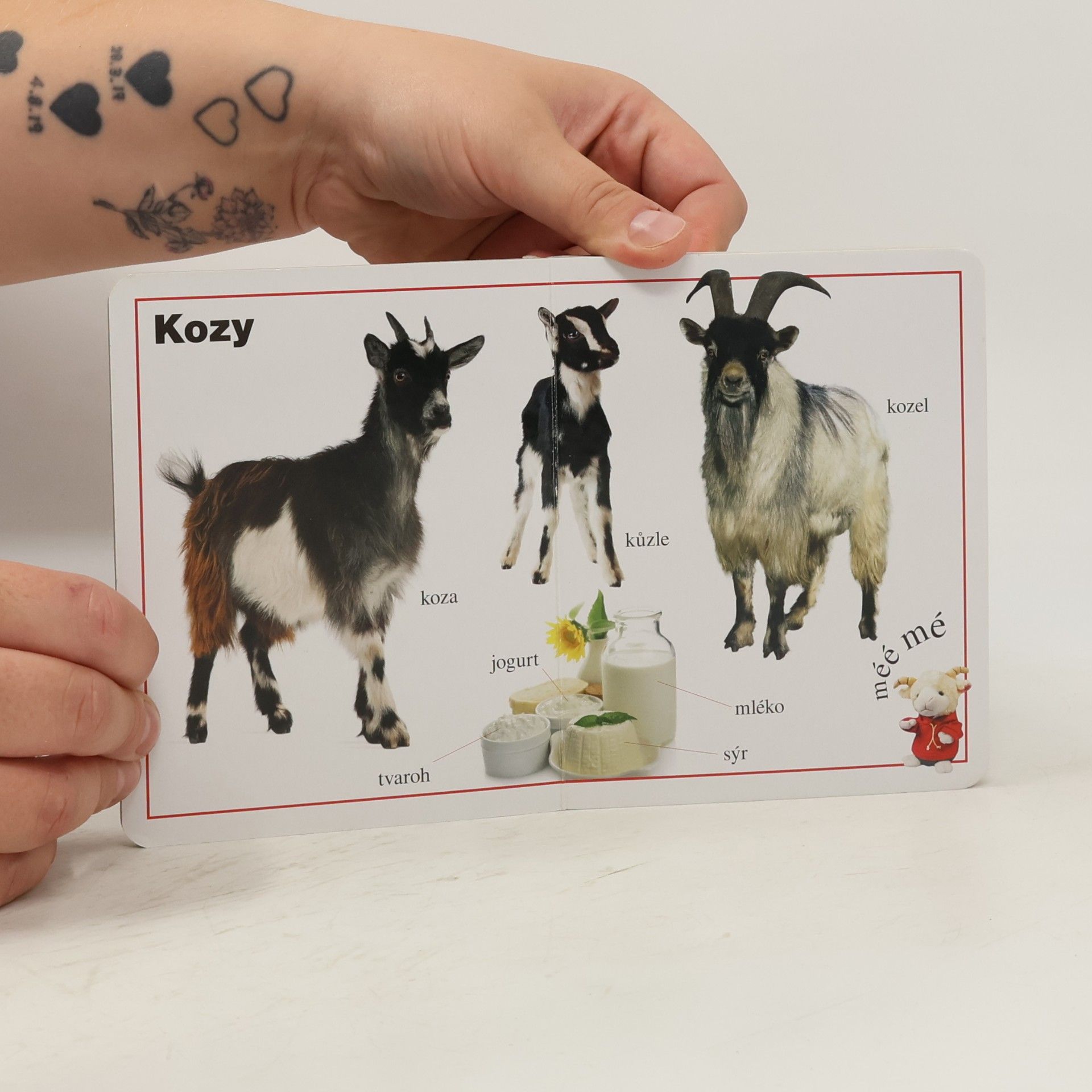 kolektiv Moje první kniha - Farma