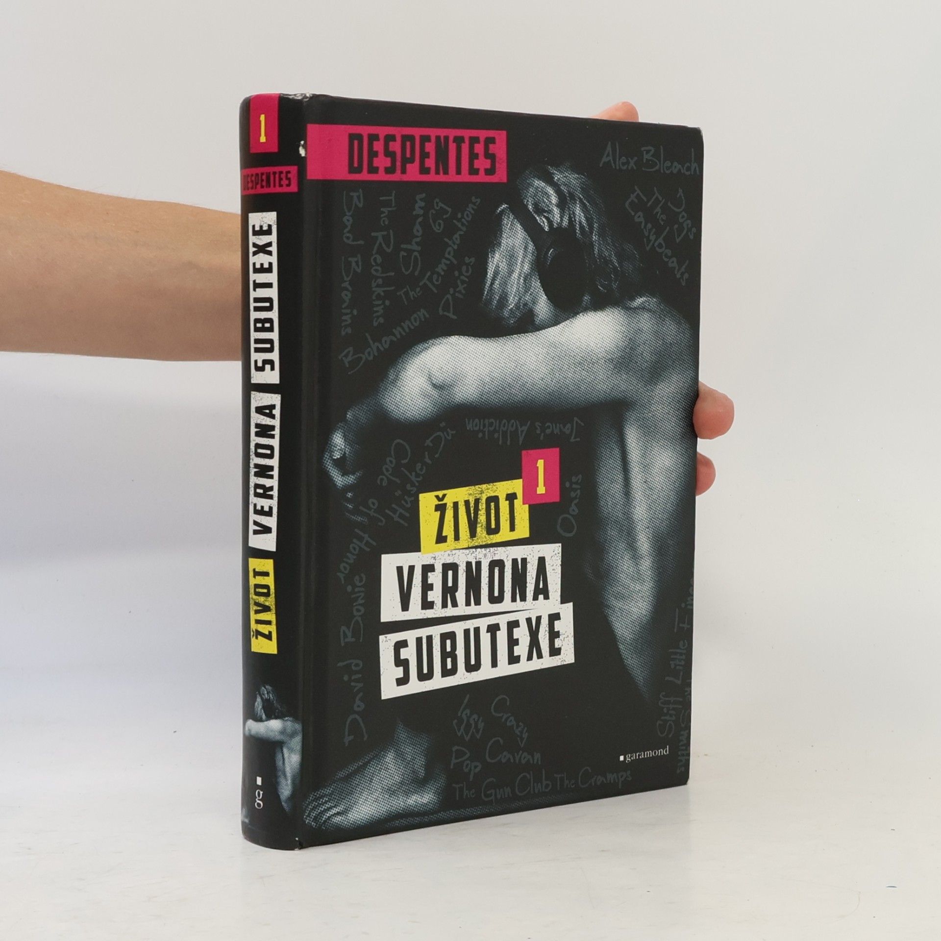 Virginie Despentes Život Vernona Subutexe. Díl 1.