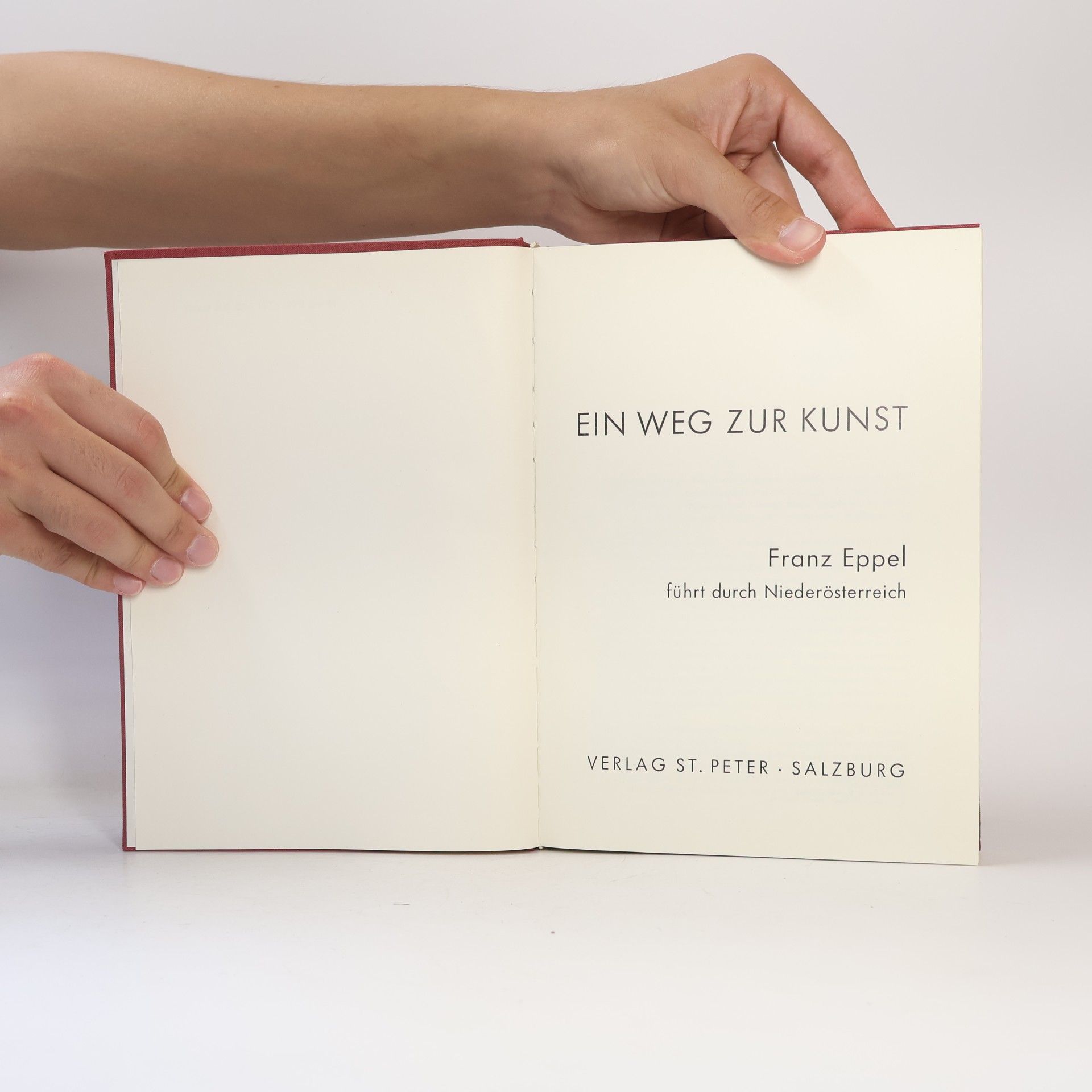 Franz Eppel Ein Weg zur Kunst