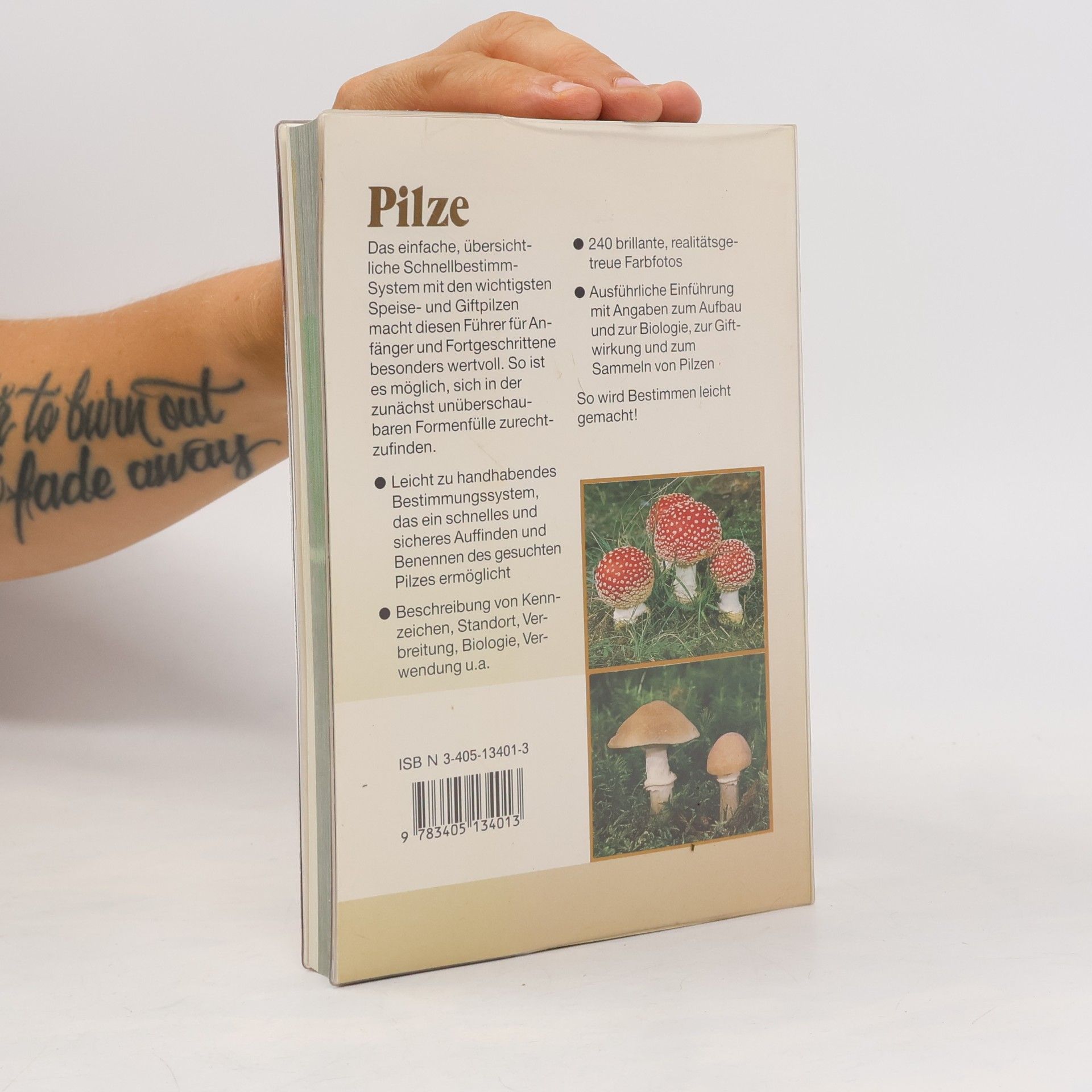Ewald Gerhardt Pilze