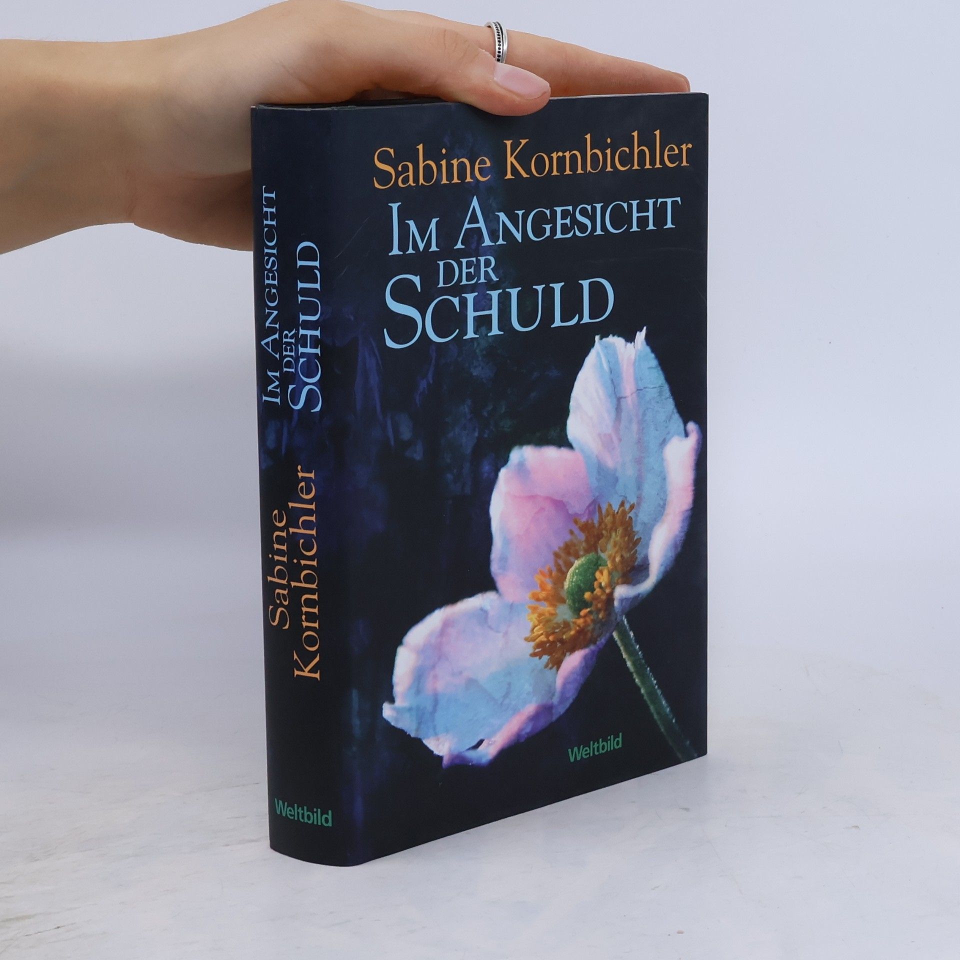Sabine Kornbichler Im Angesicht der Schuld