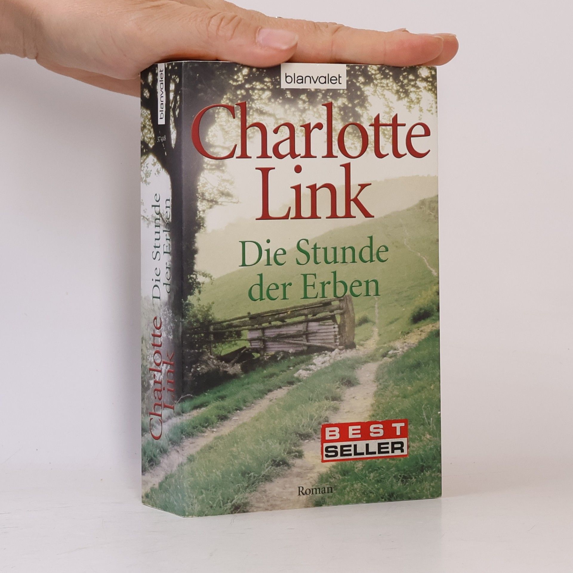 Charlotte Link Die Stunde der Erben