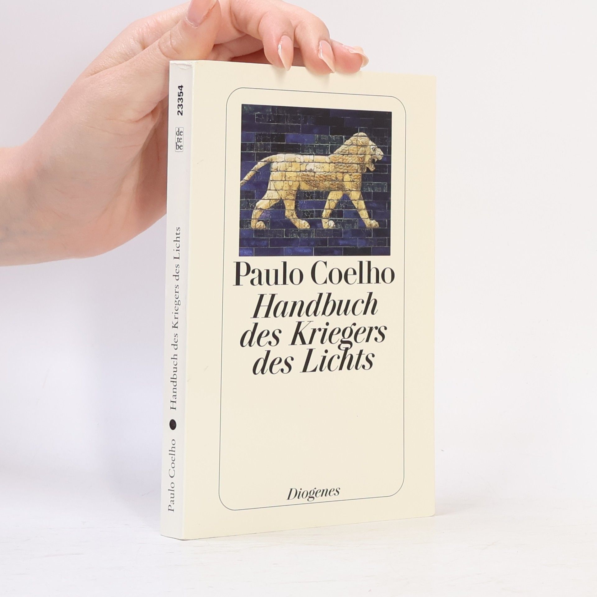 Paulo Coelho Handbuch des Kriegers des Lichts