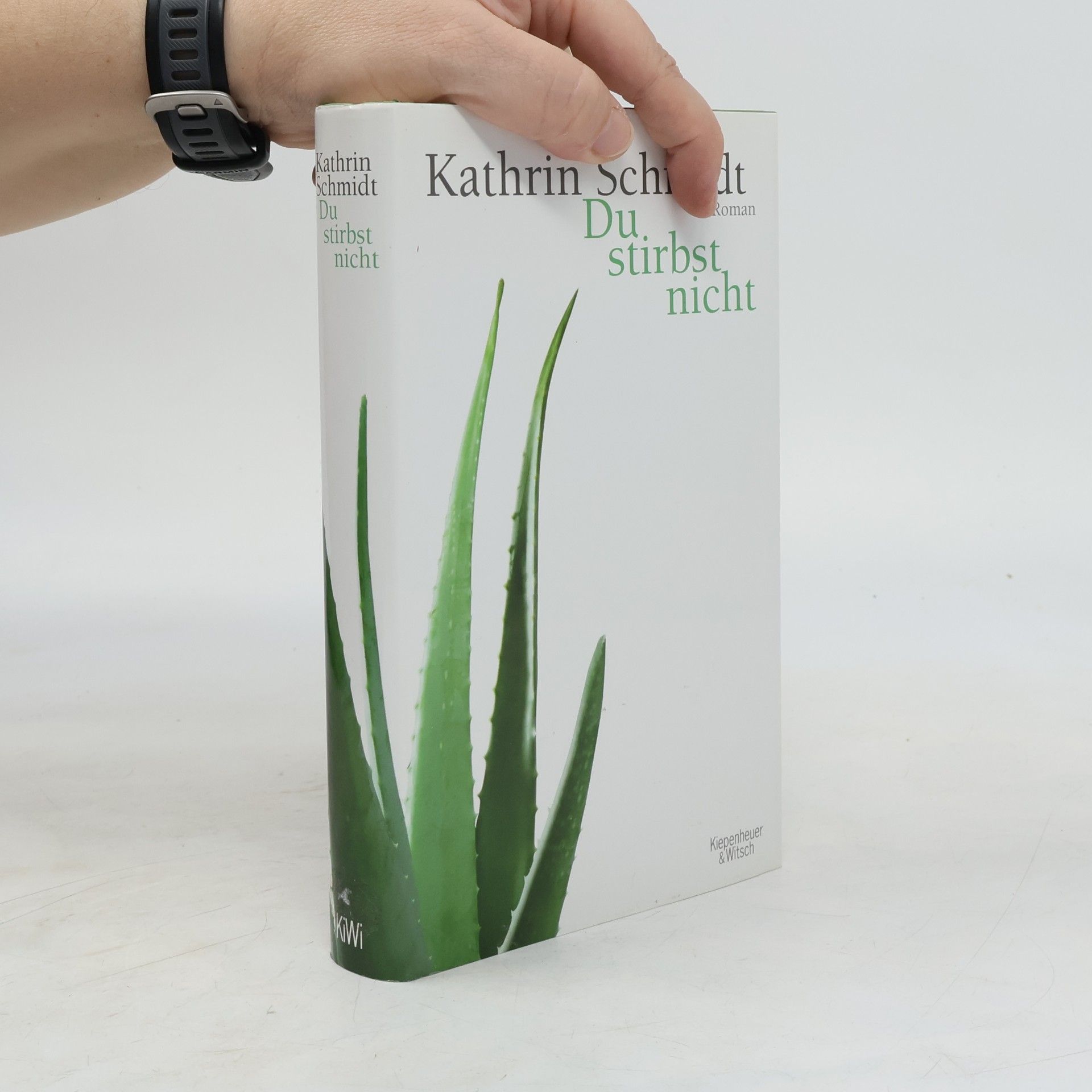 Kathrin Schmidt Du stirbst nicht