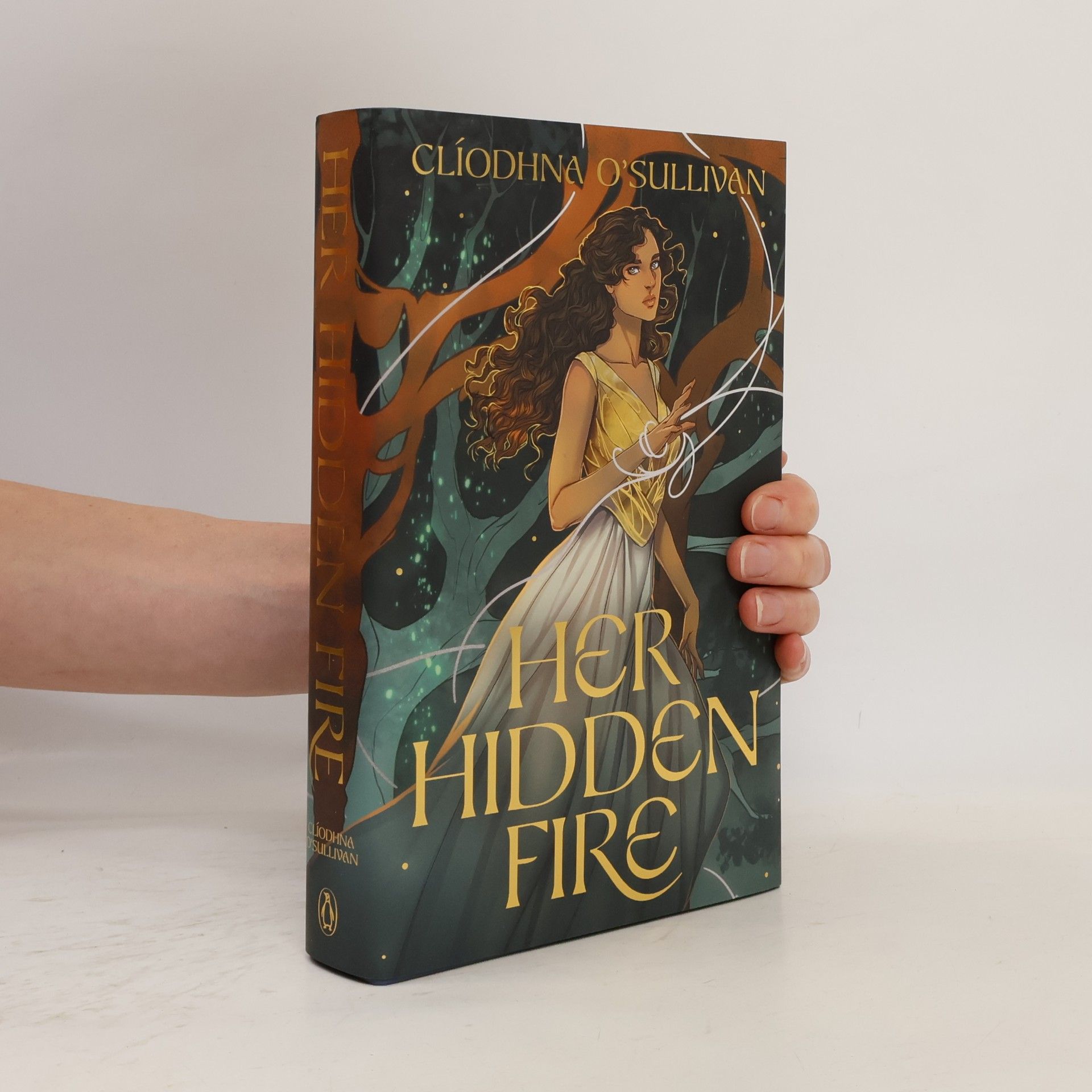 Clíodhna O'Sullivan Her Hidden Fire